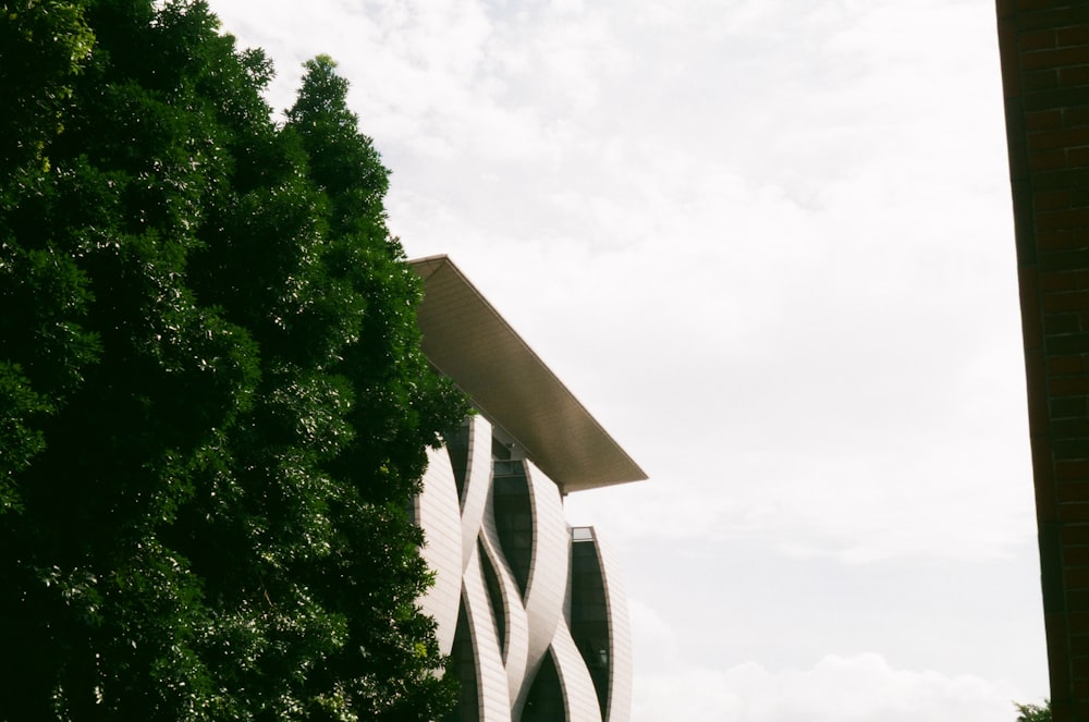 a tall building with a tree in front of it