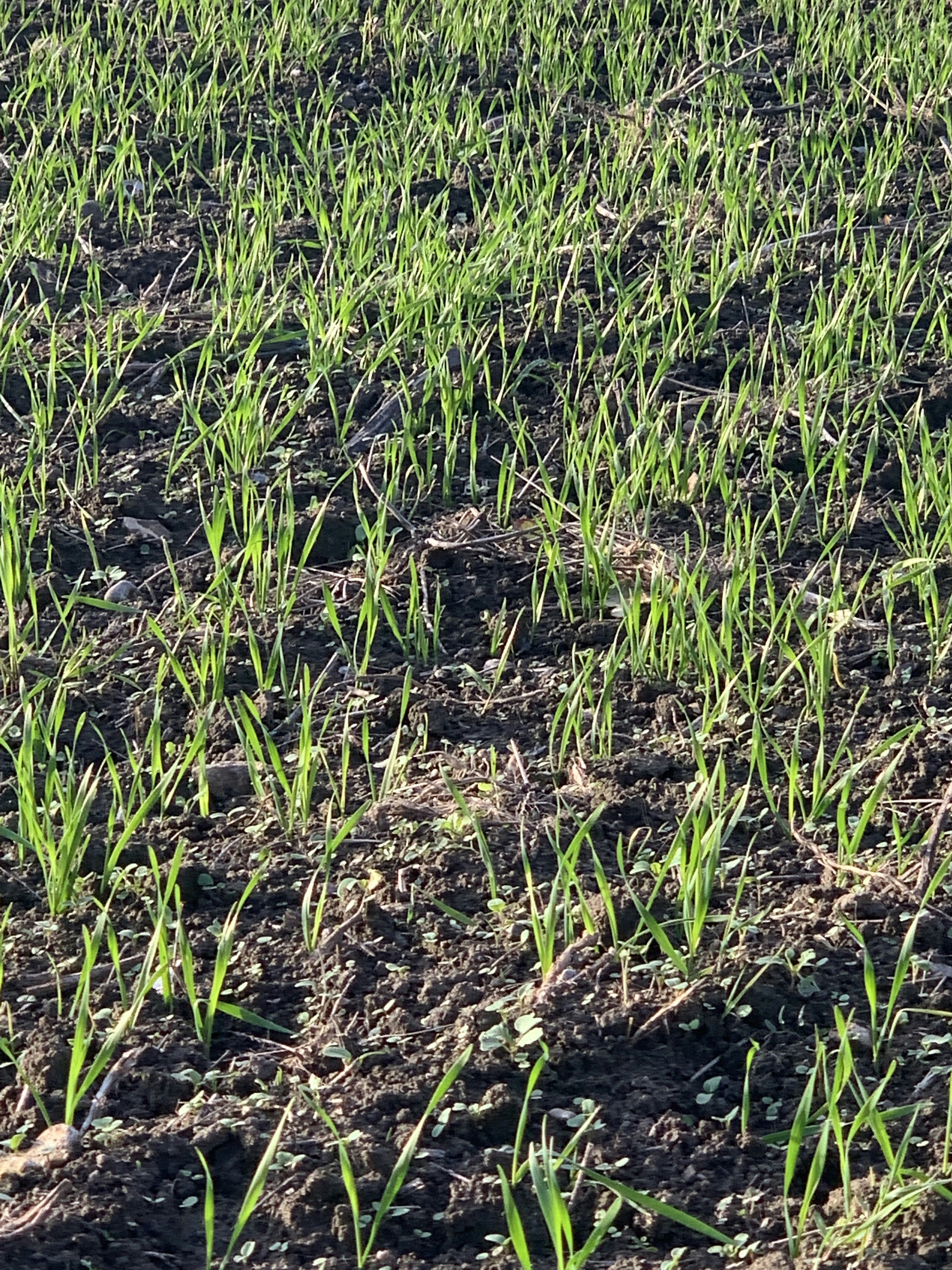 Photo by renemolenkamp