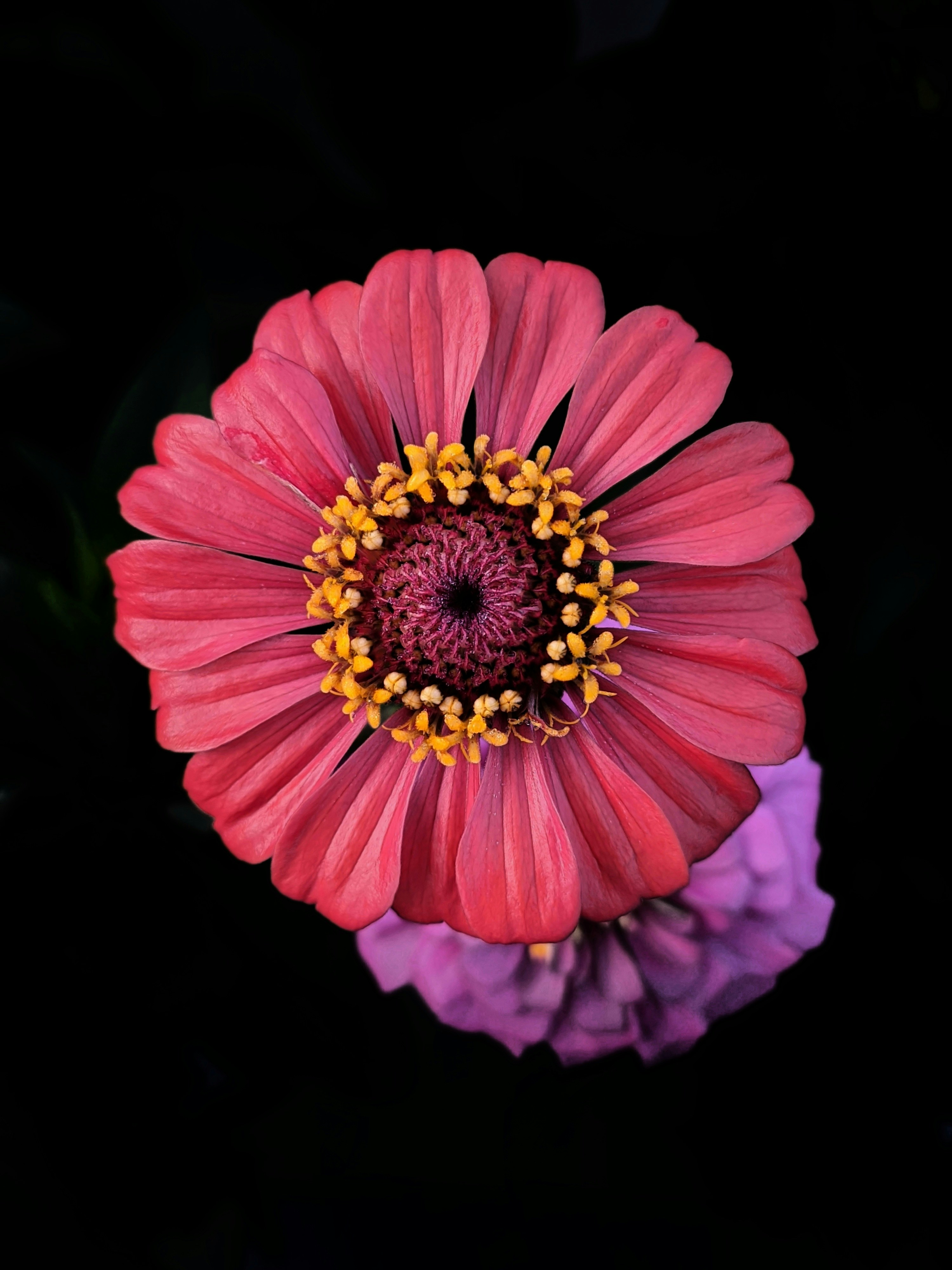 Photo by argha_saha12