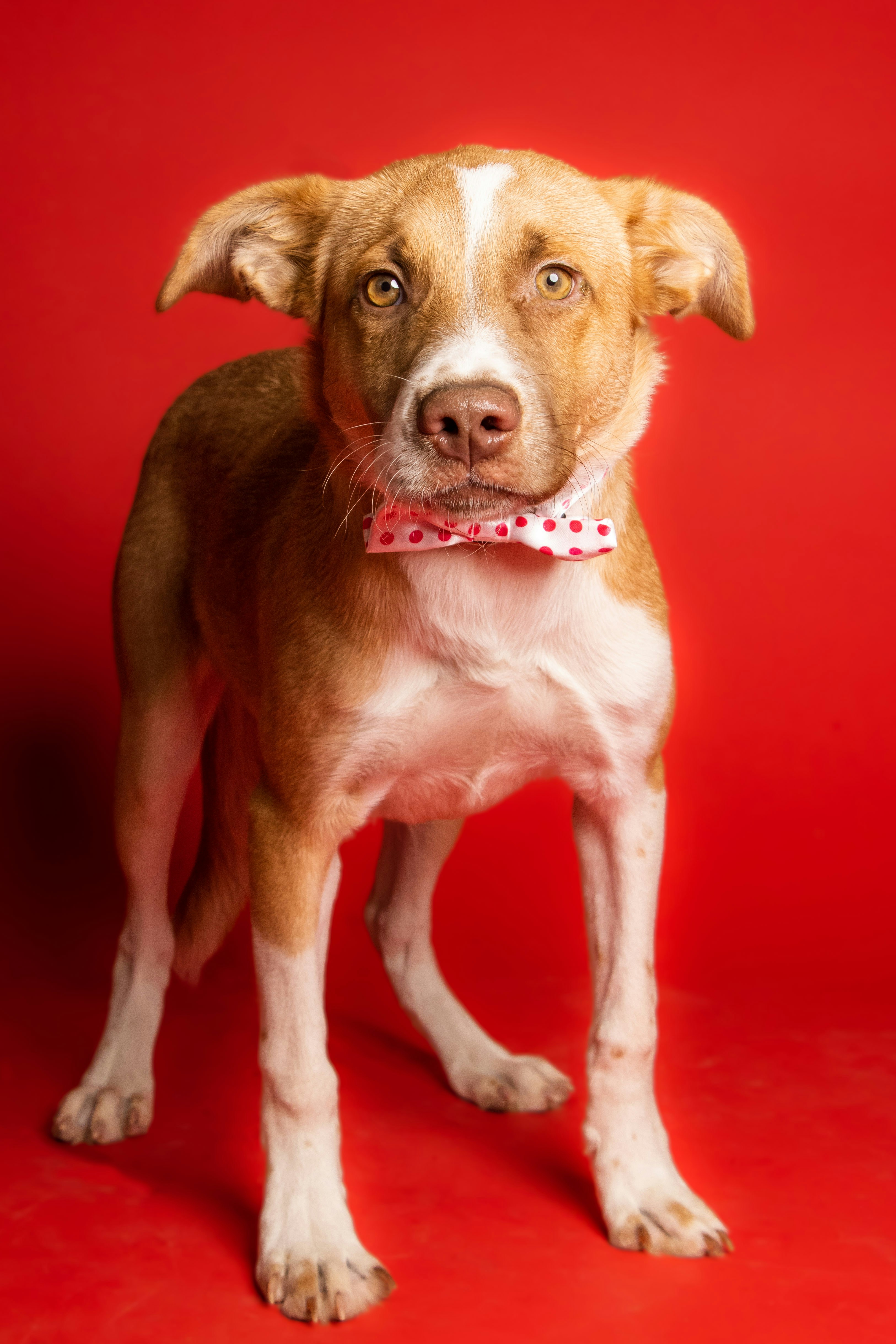 Photo by escape_your_mind