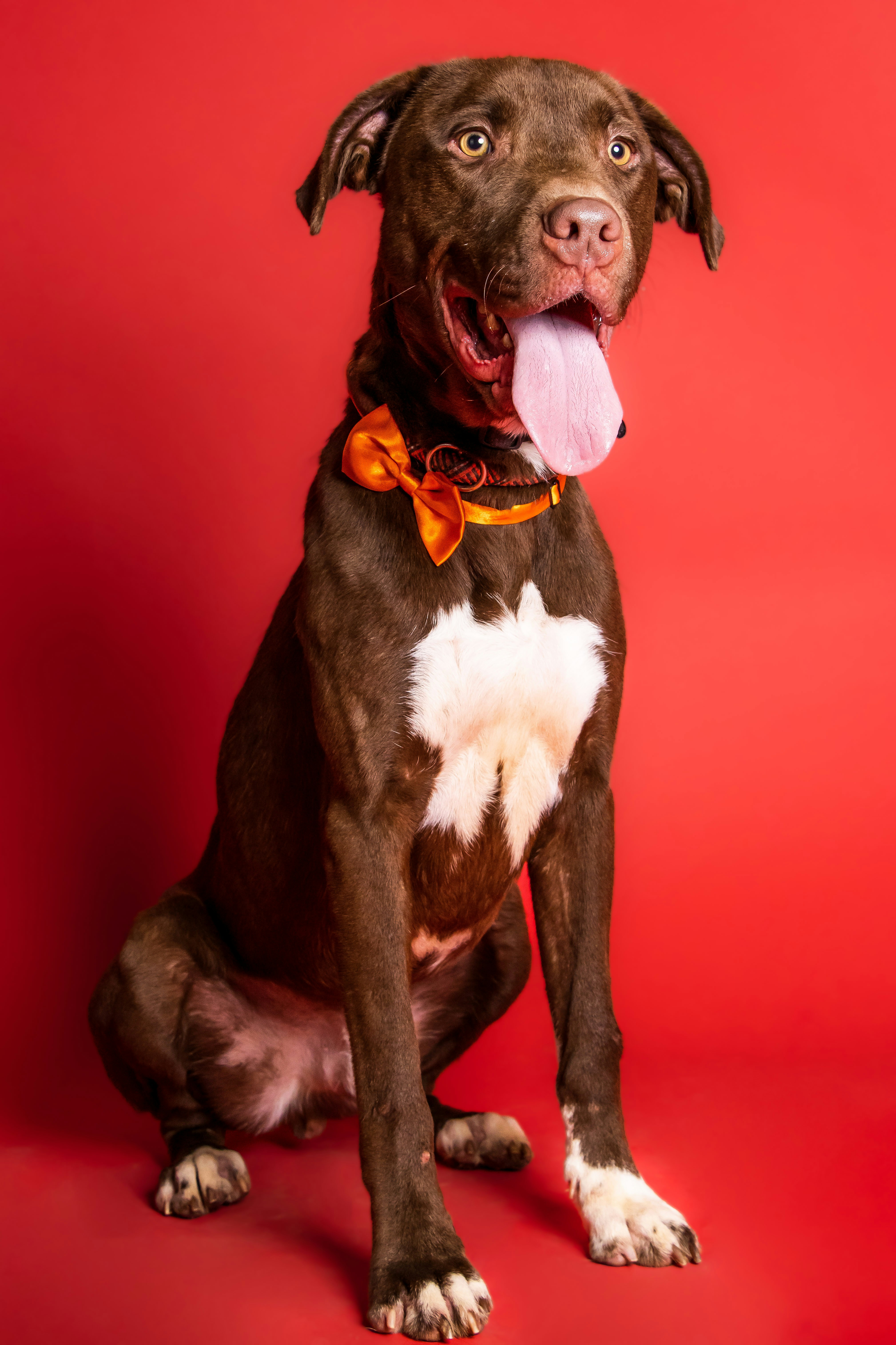 Photo by escape_your_mind