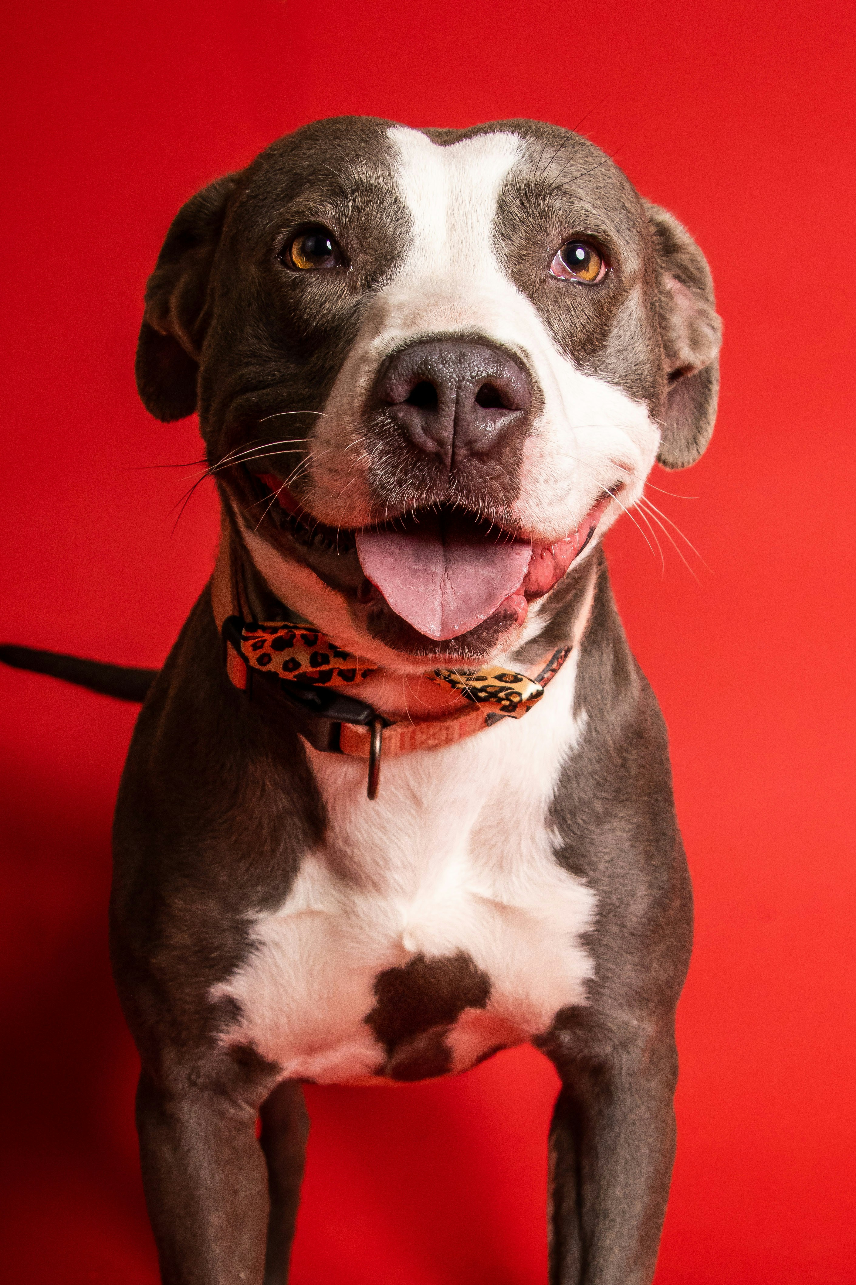 Photo by escape_your_mind