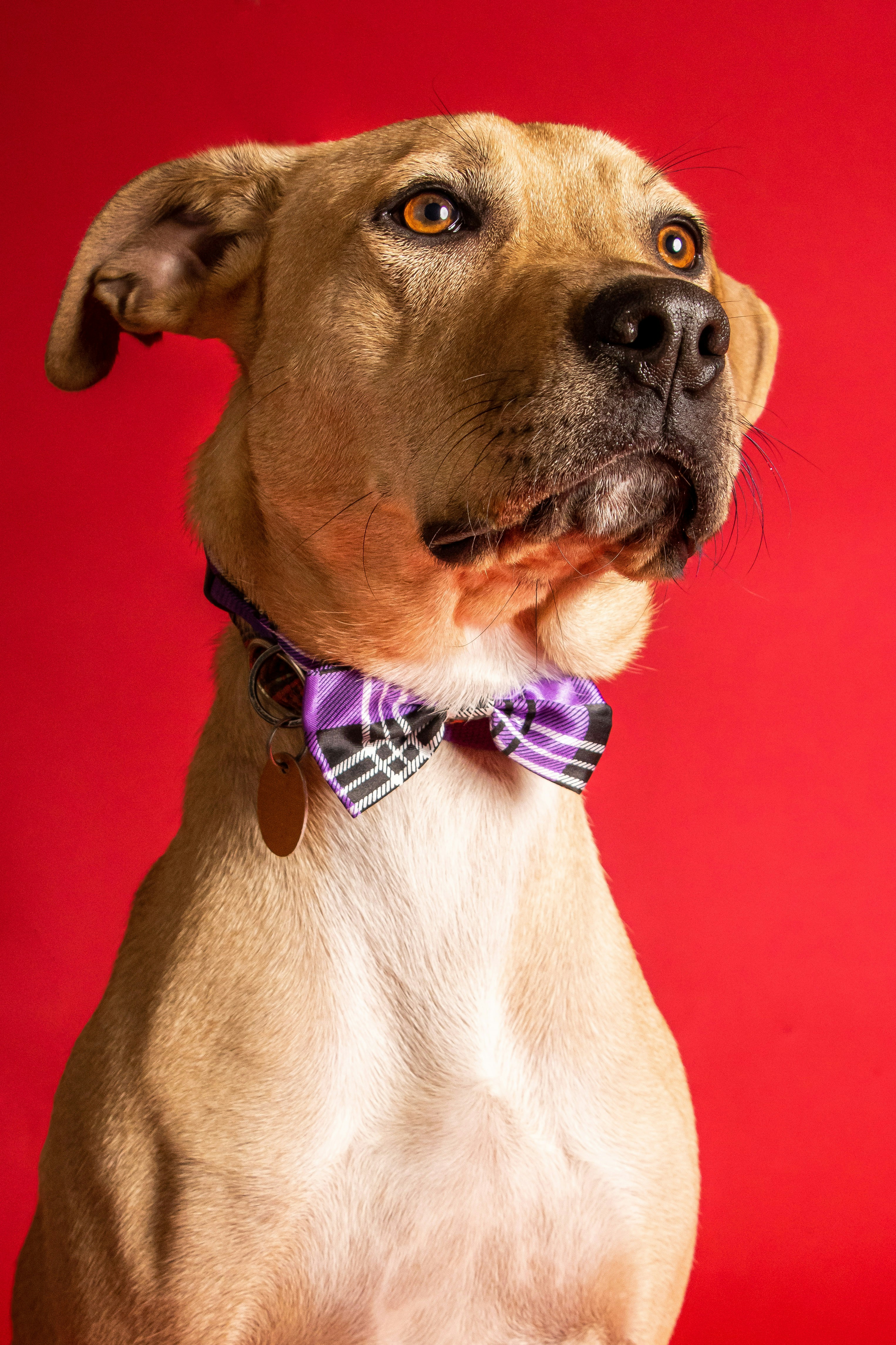 Photo by escape_your_mind