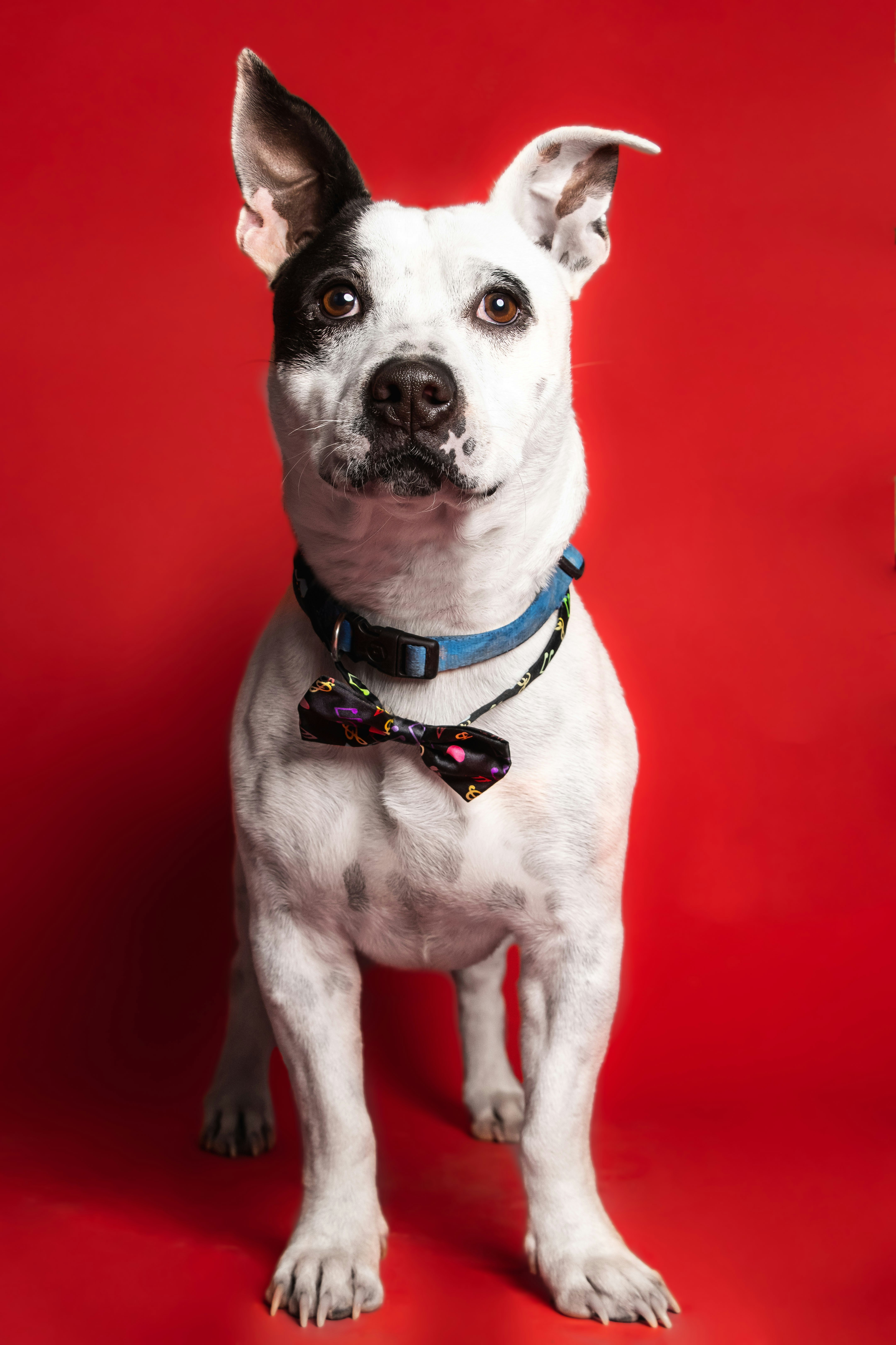 Photo by escape_your_mind