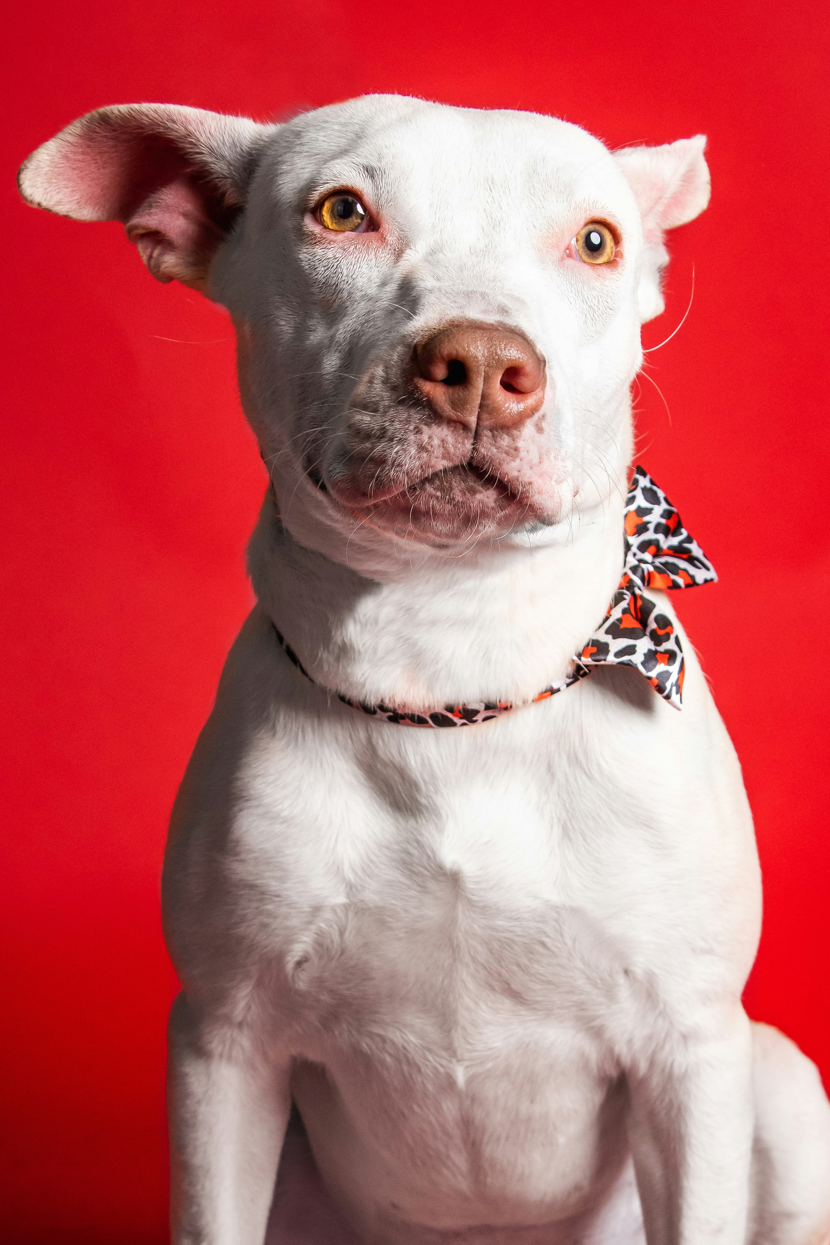 Photo by escape_your_mind