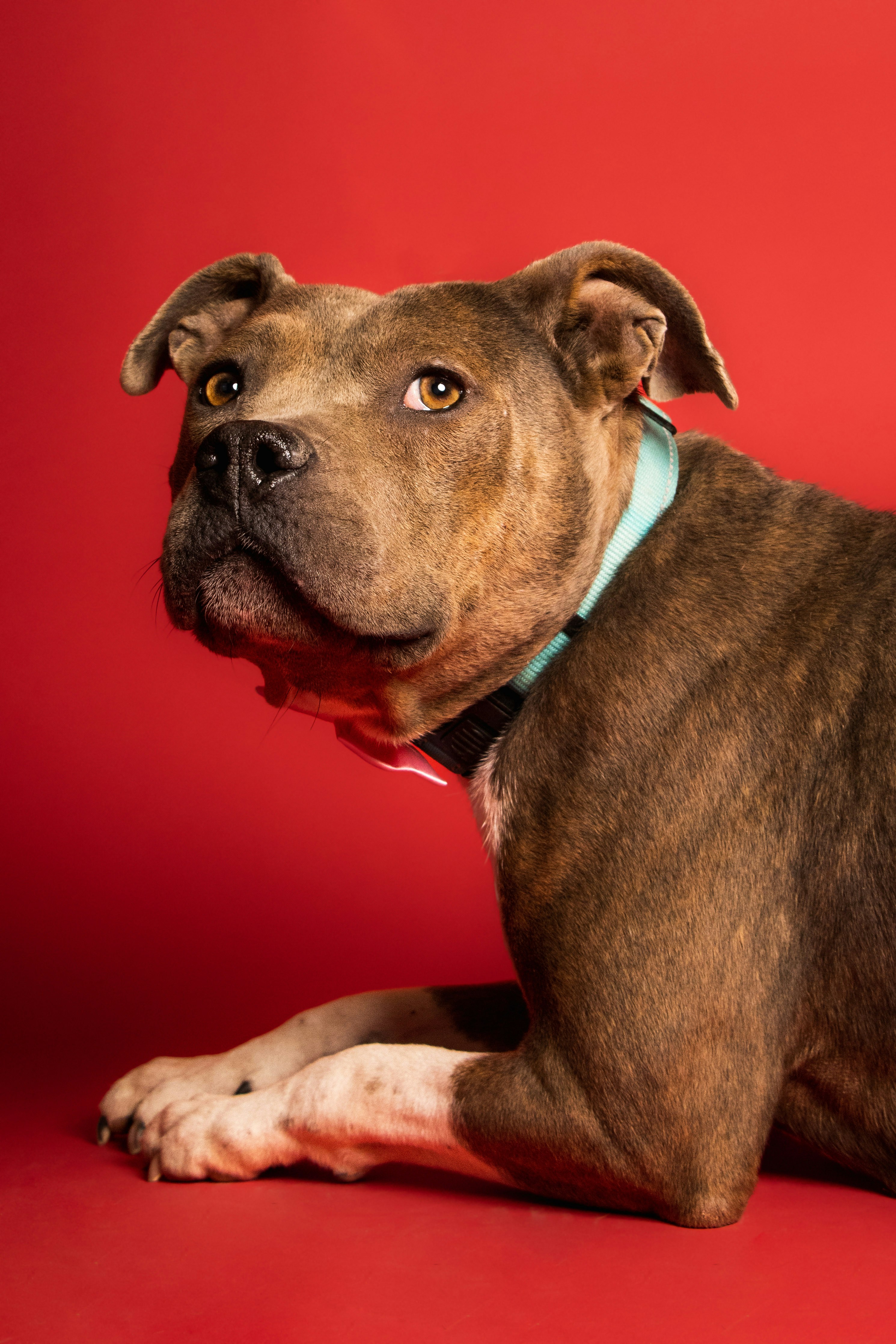 Photo by escape_your_mind