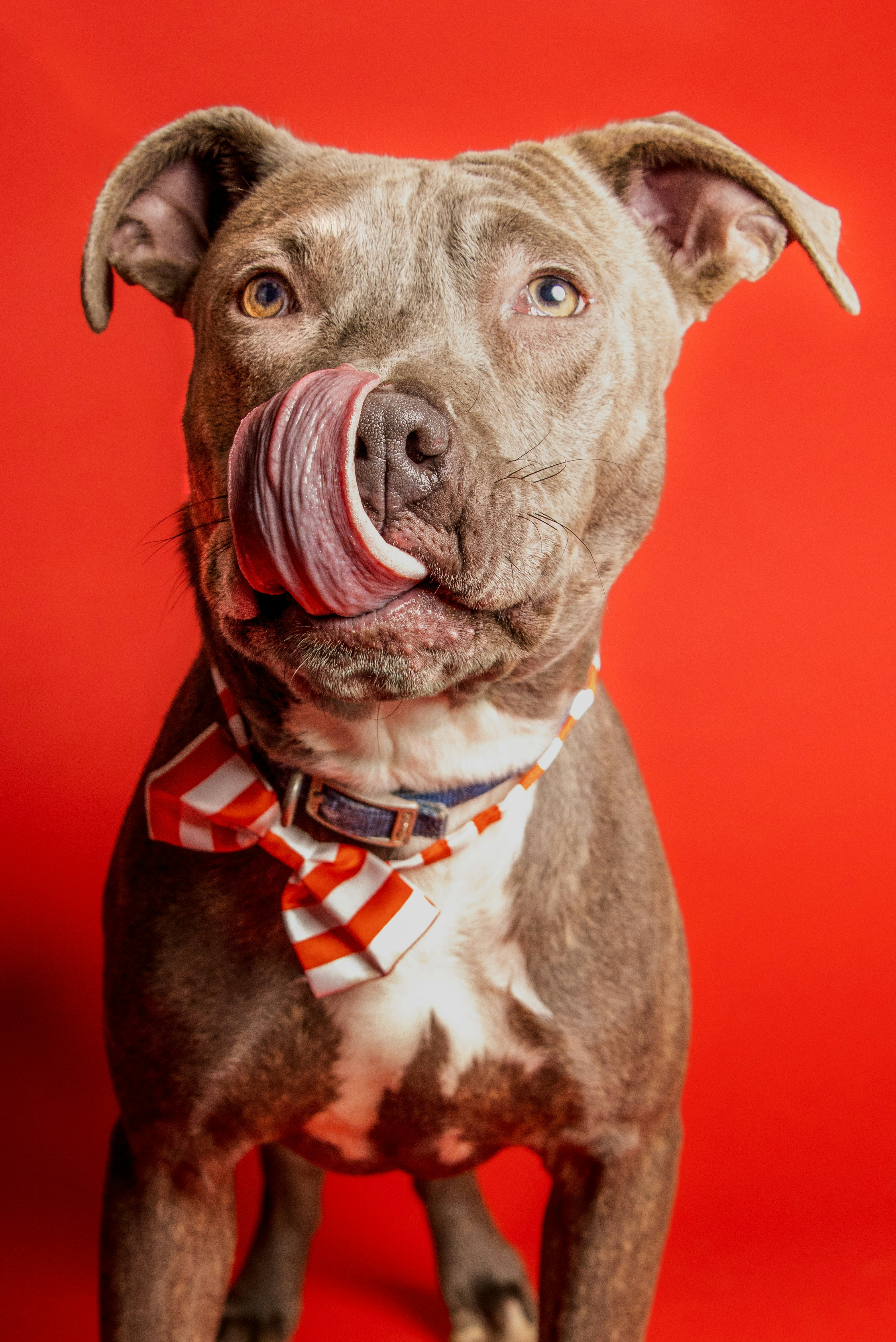 Photo by escape_your_mind