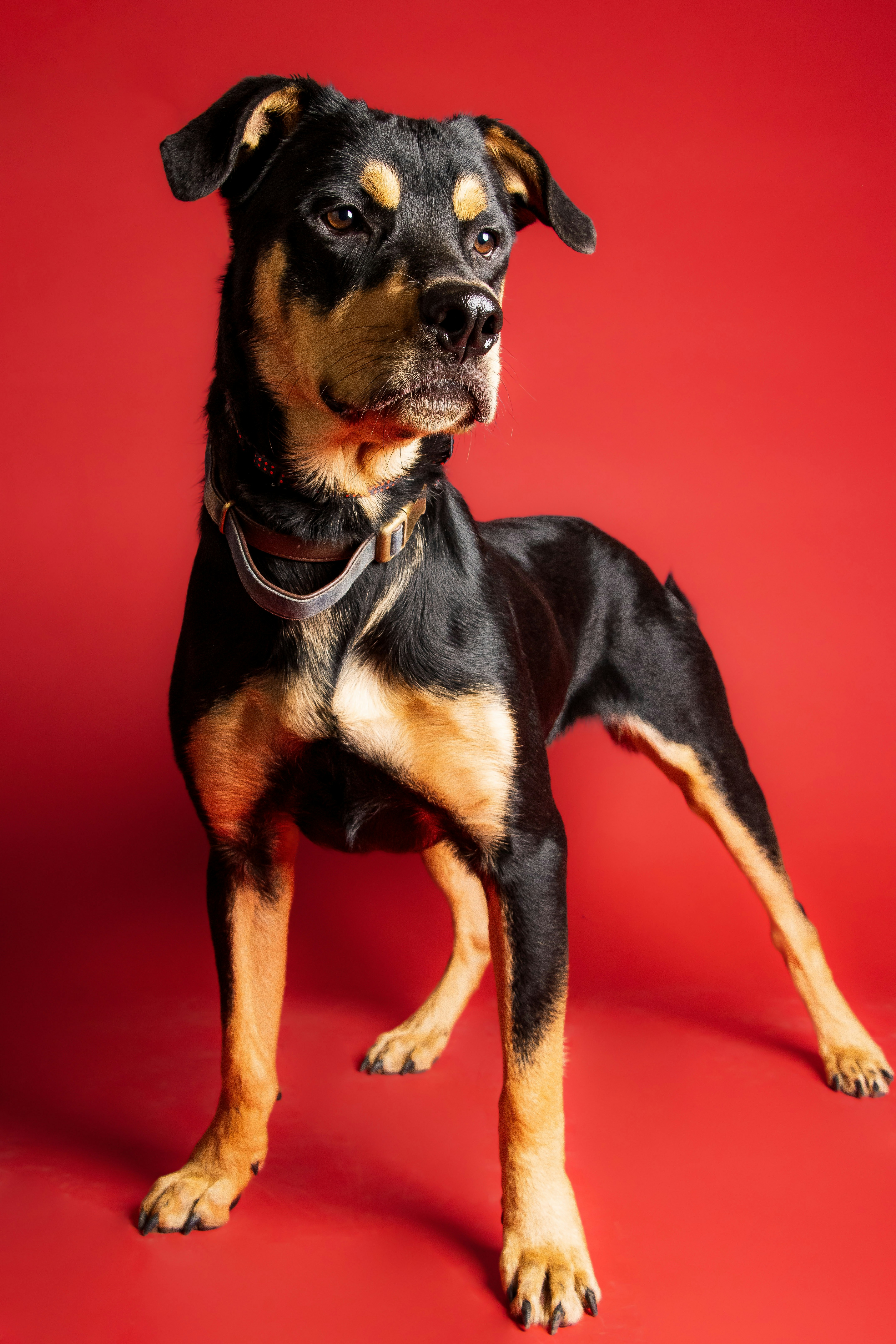 Photo by escape_your_mind