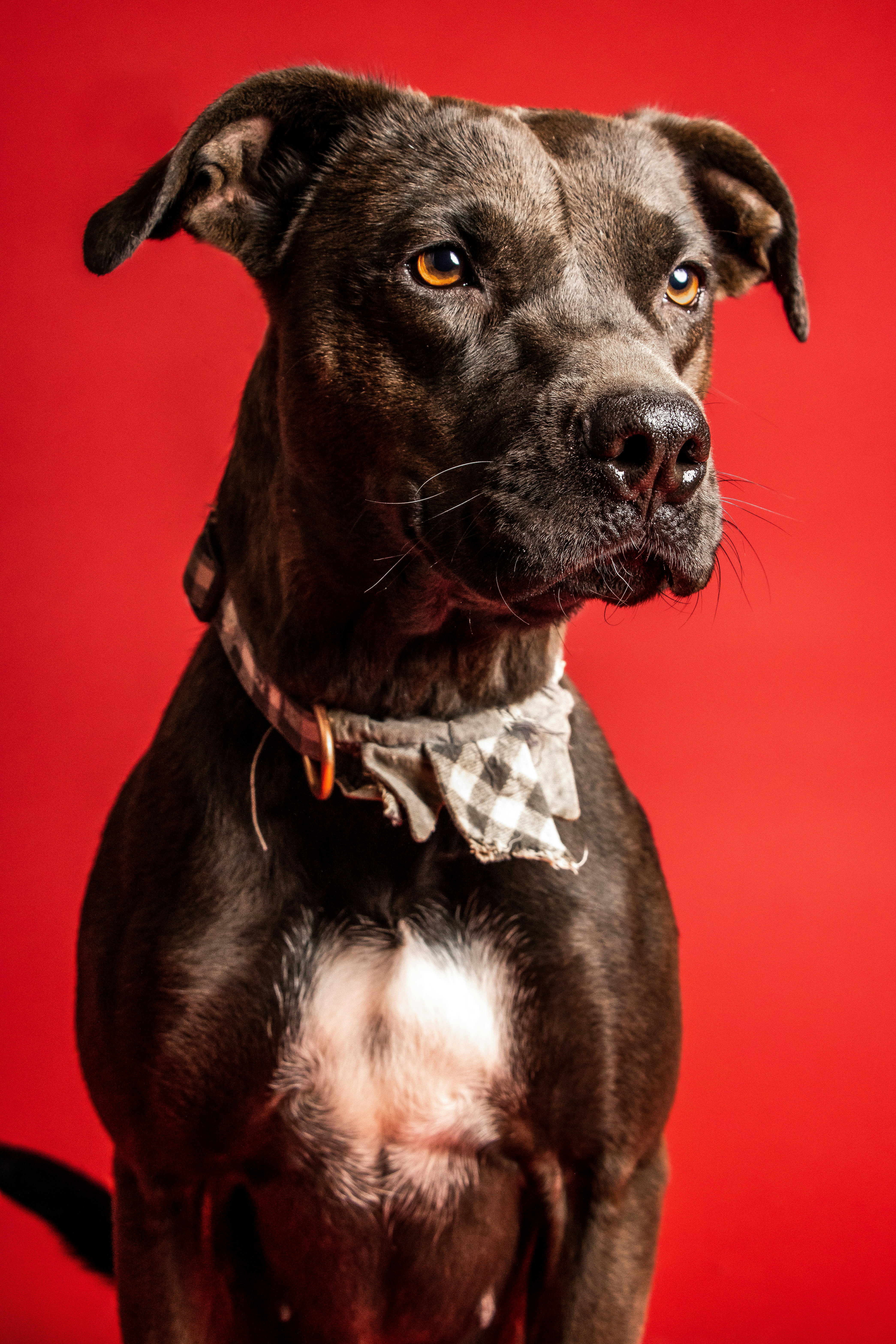 Photo by escape_your_mind