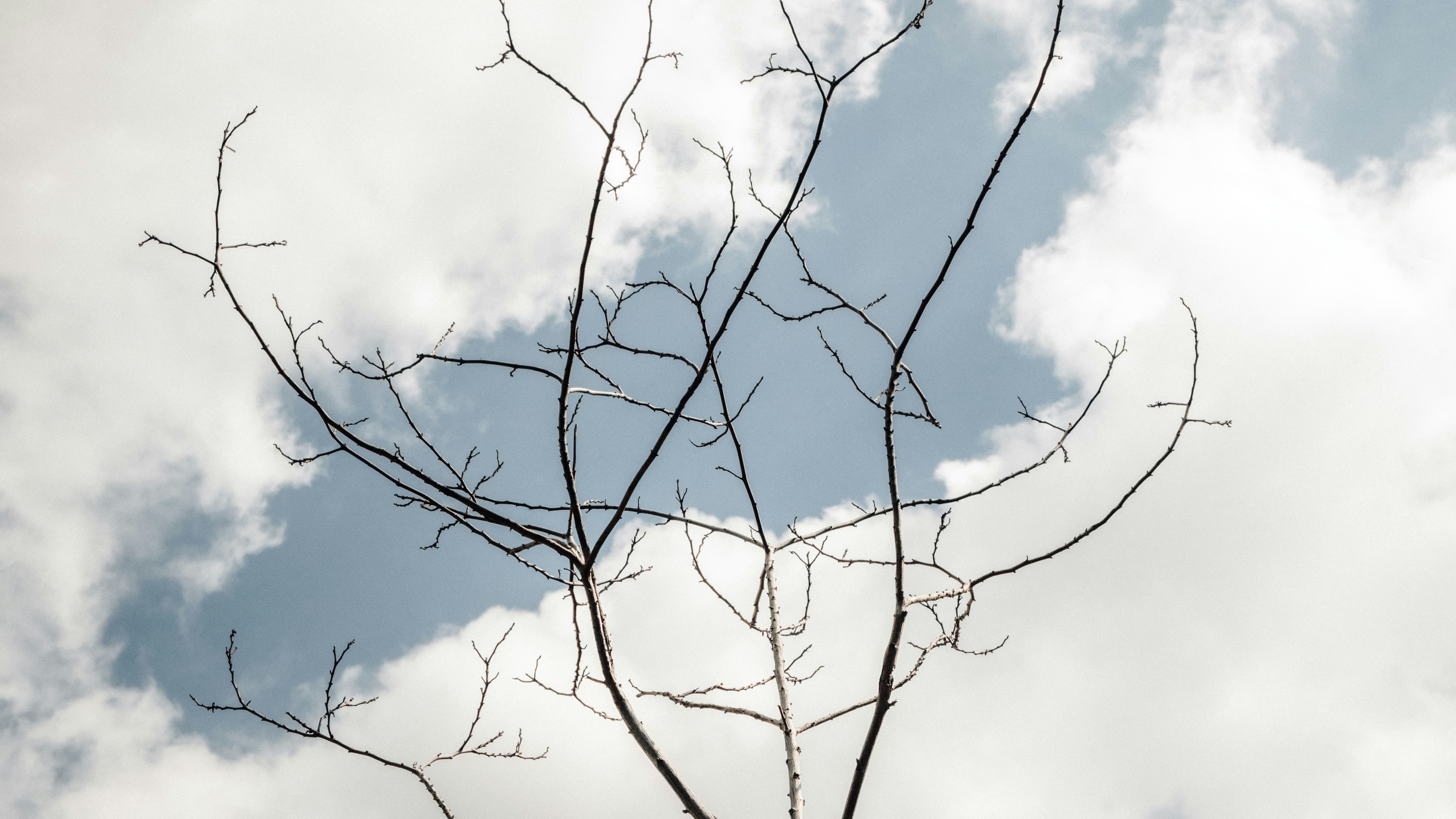 Photo by akuntime