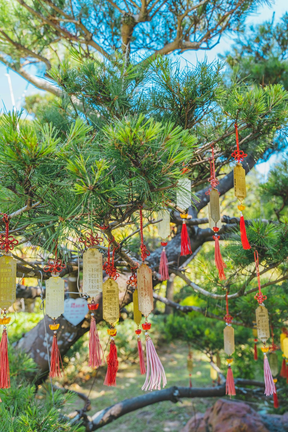 a tree with many ornaments