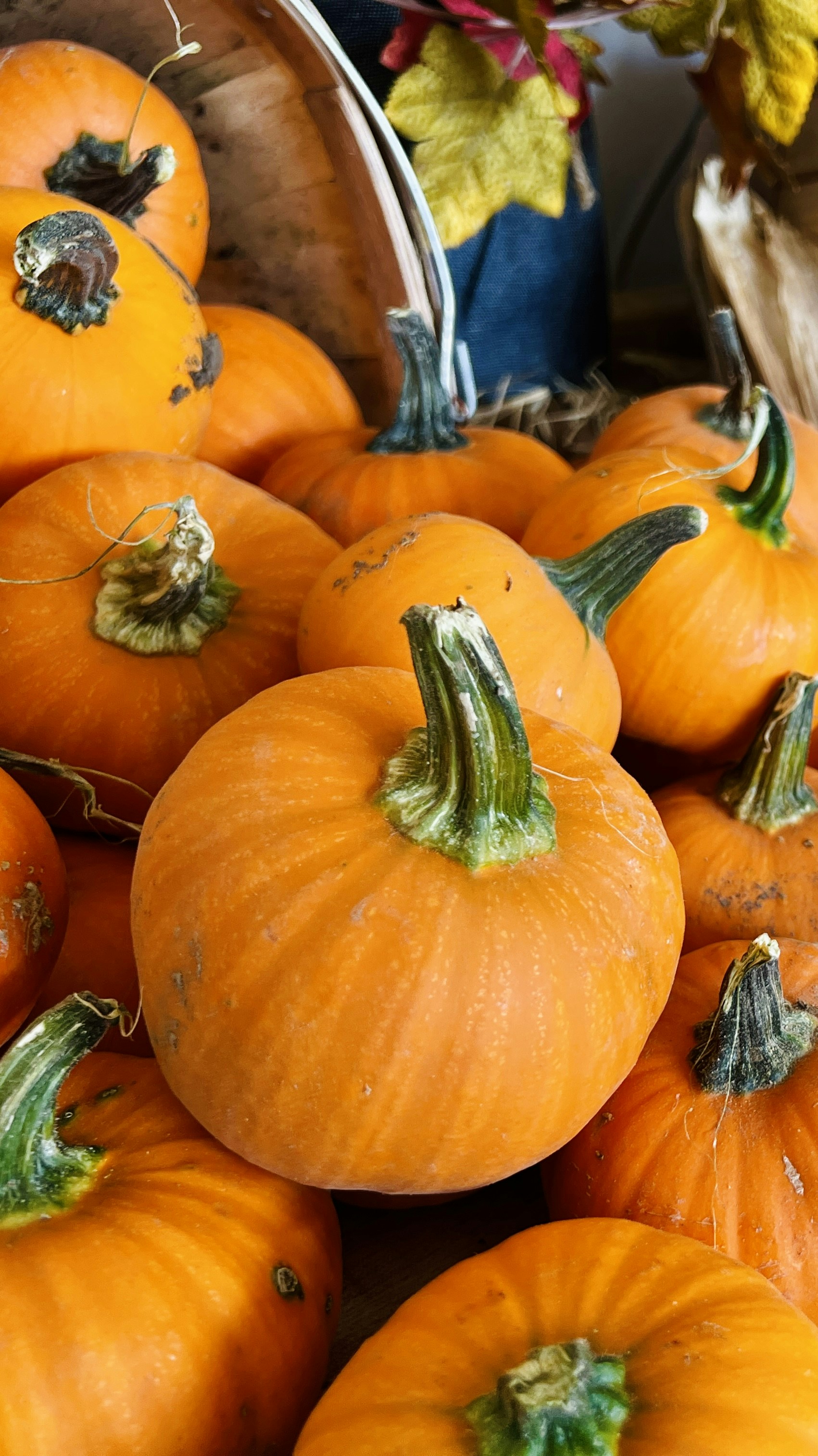 Photo by michaelhystead