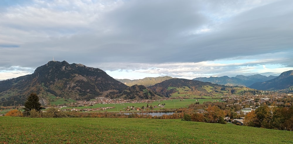 un paesaggio con colline e alberi