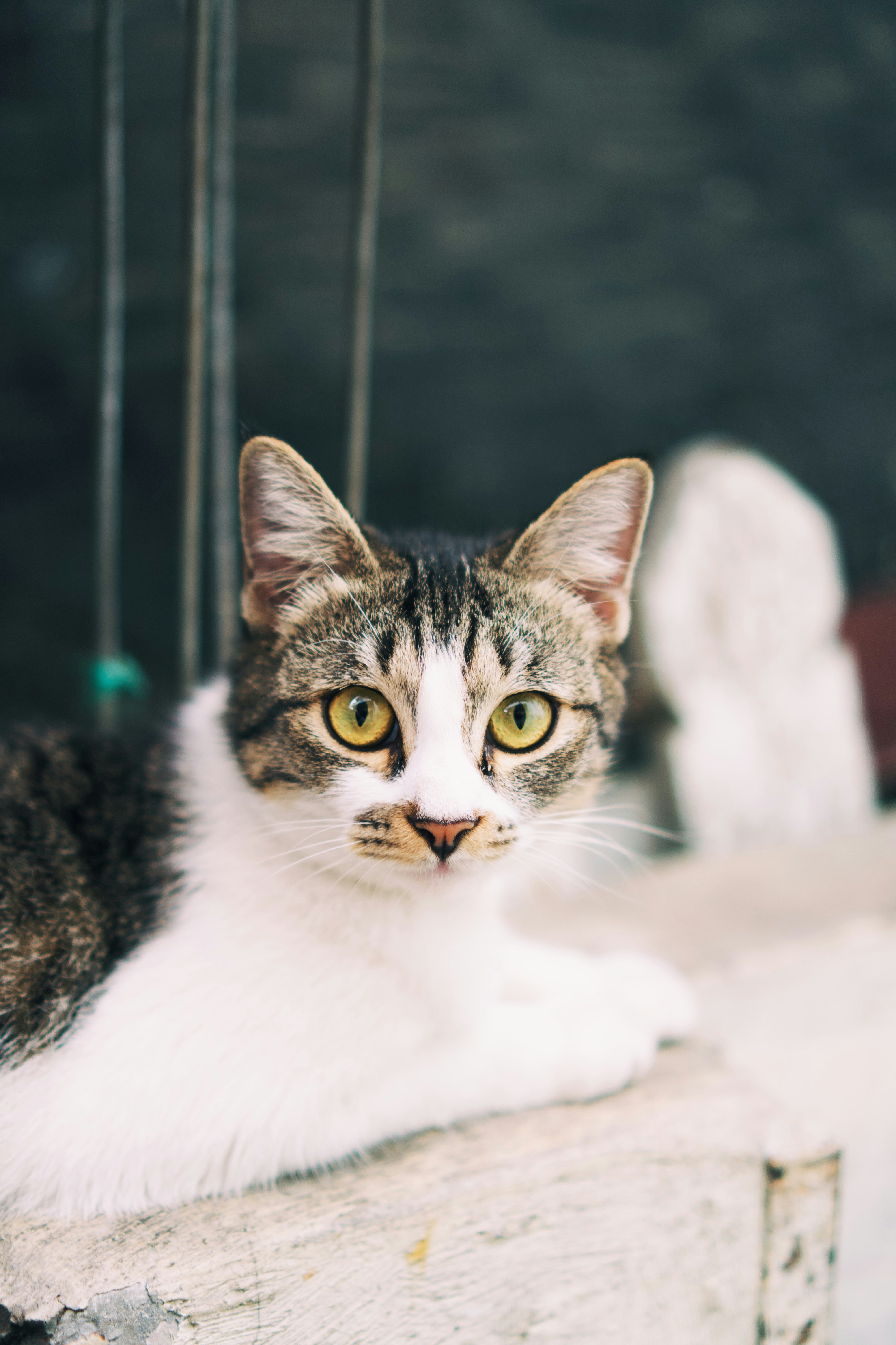 Photo by nazmijavier