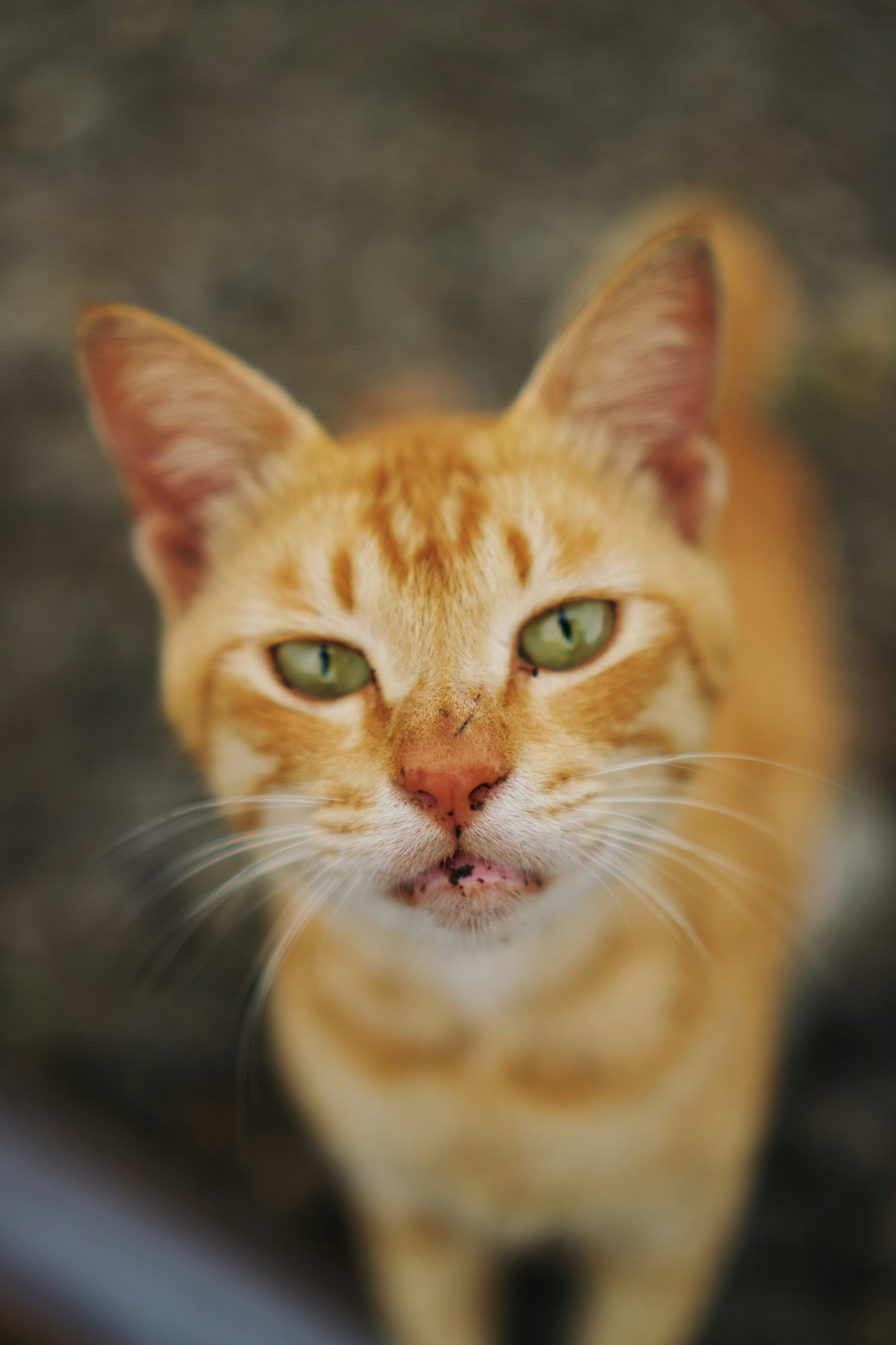 Photo by nazmijavier