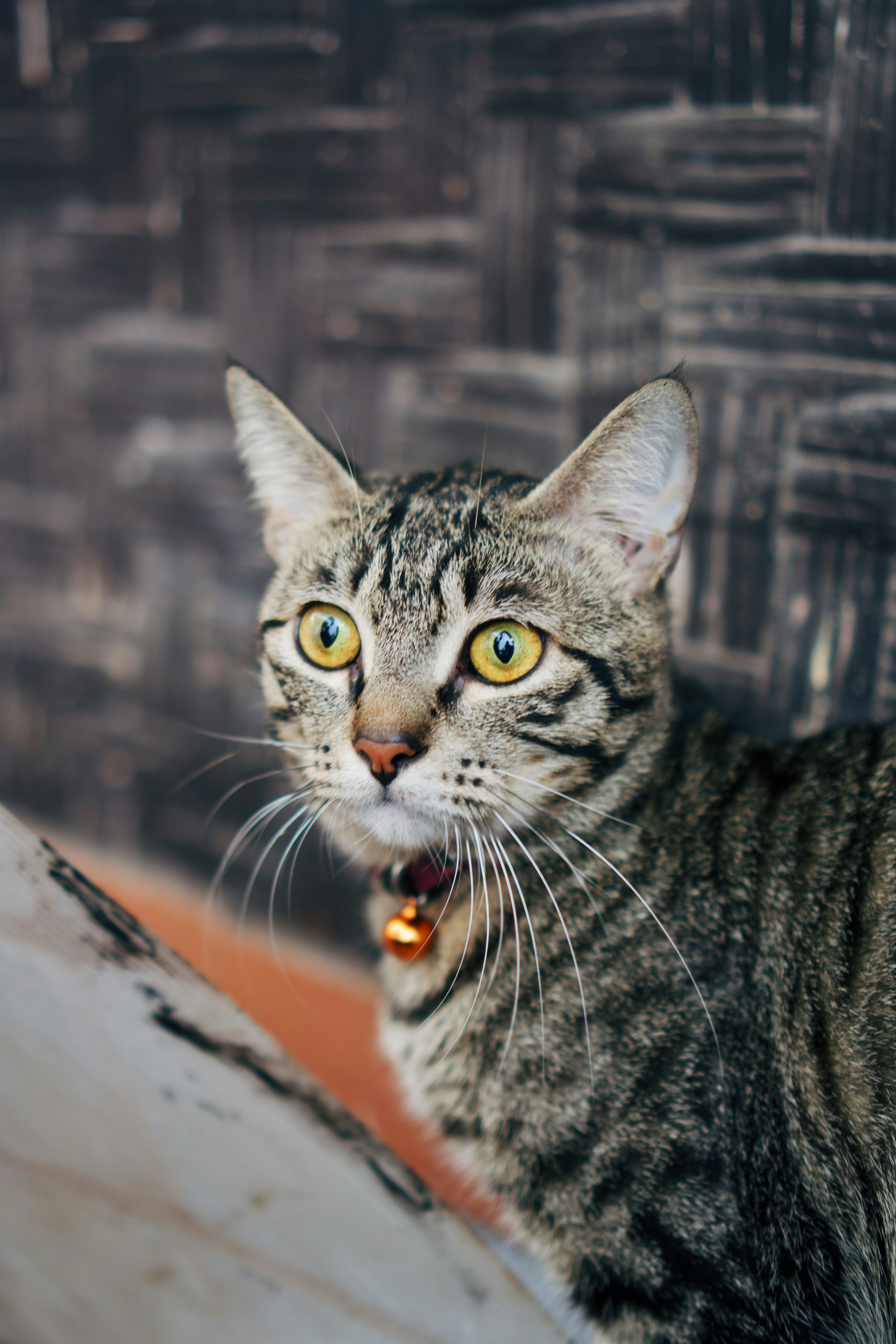 Photo by nazmijavier