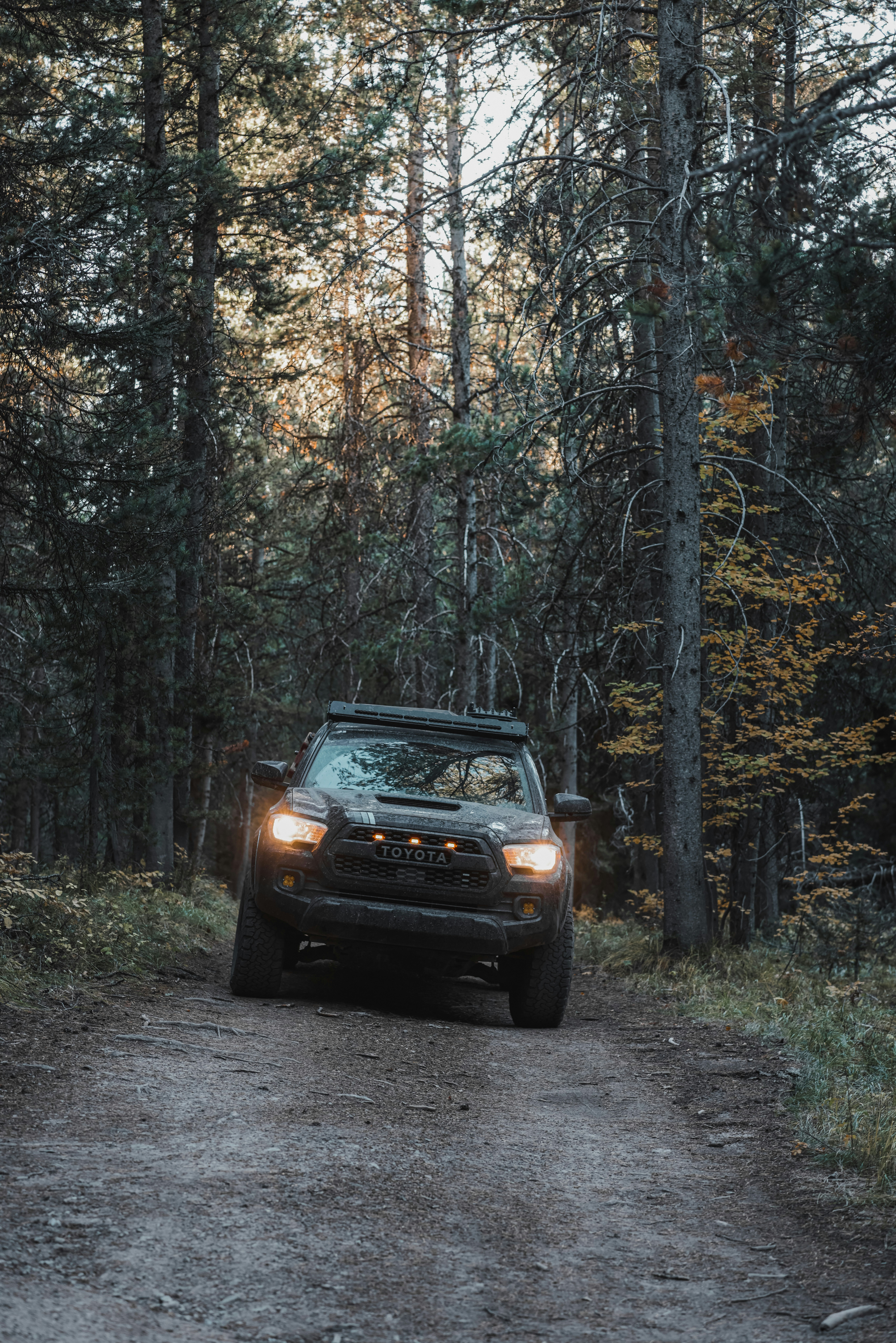 Photo by isaactmitchell