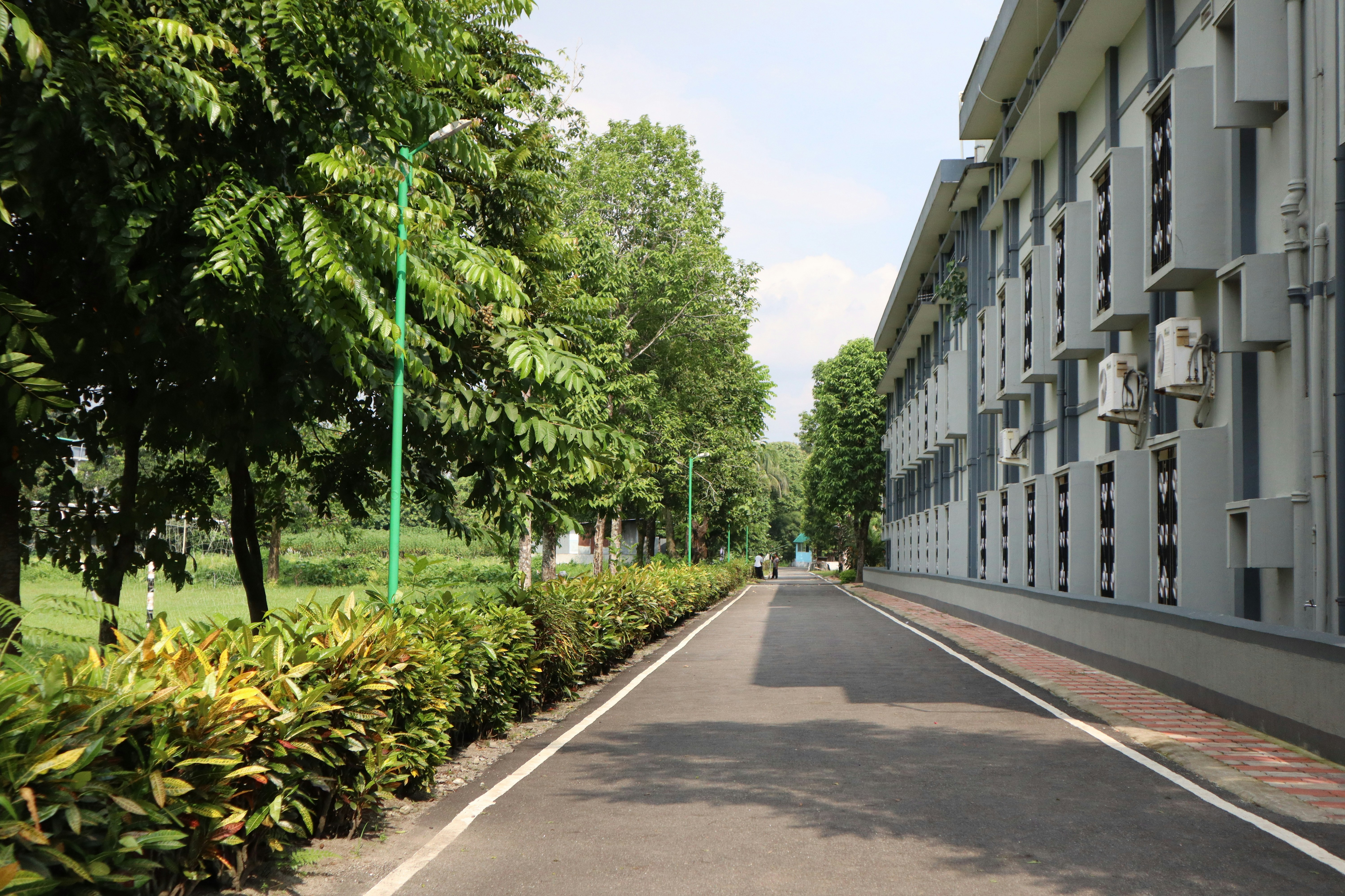 "Nida University In Bangkok"
