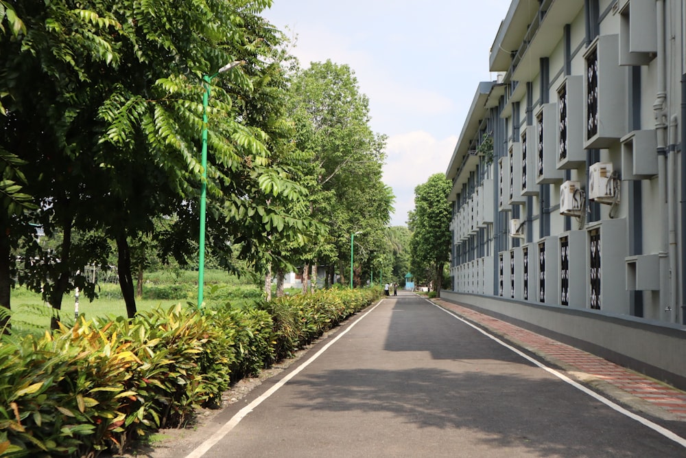 a street with trees and buildings on the side