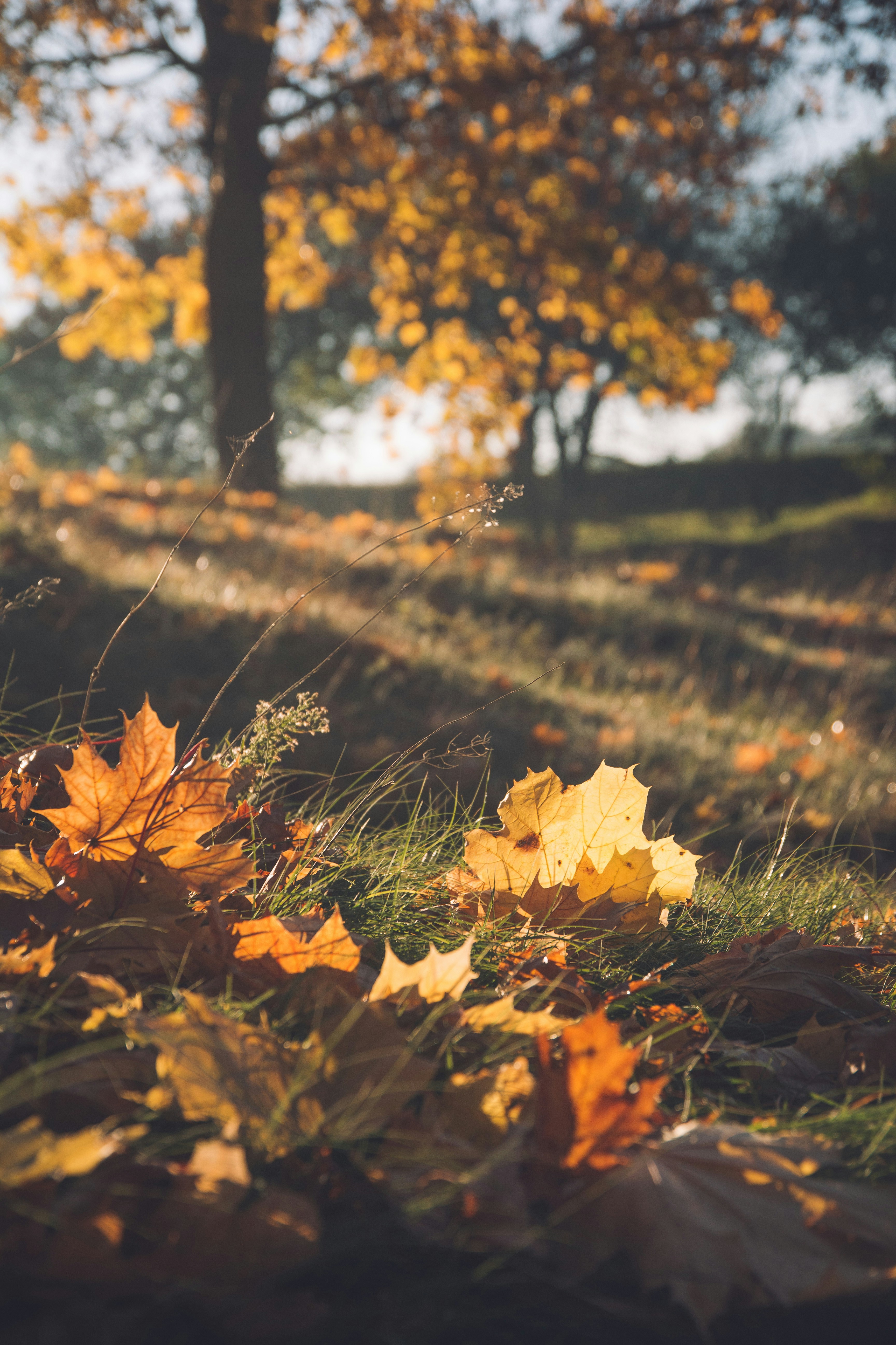 Photo by onmywayhome