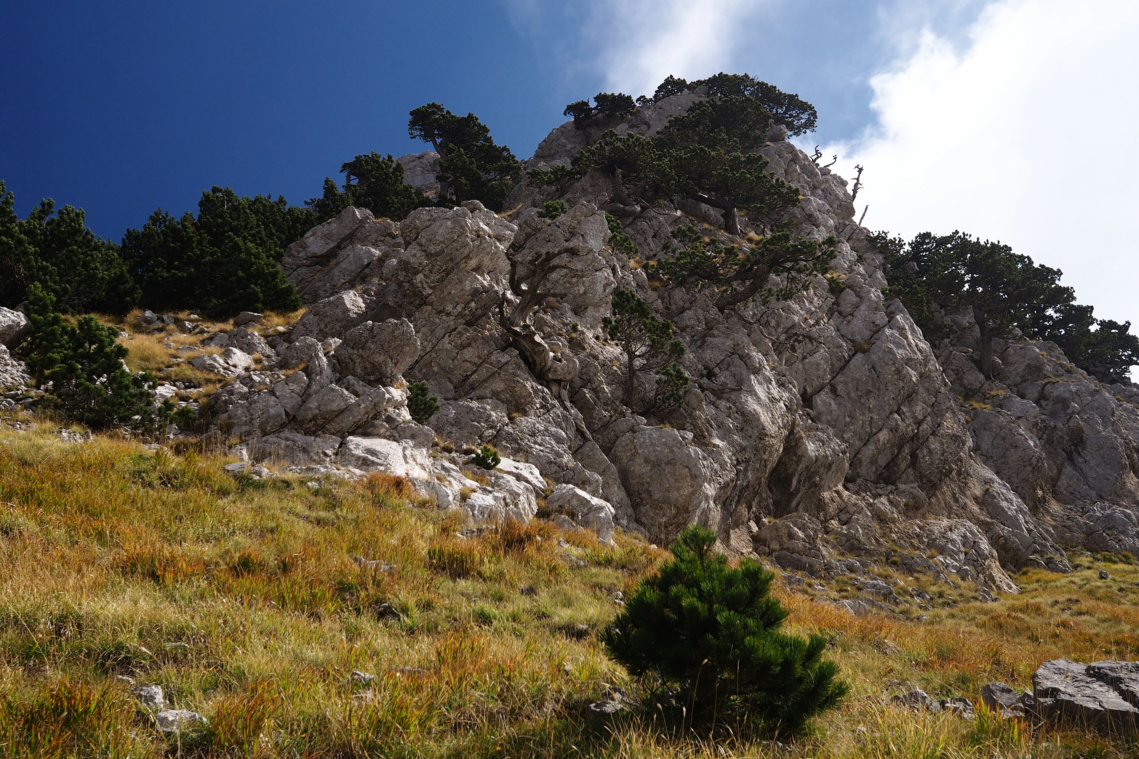 Photo by nodichotomy