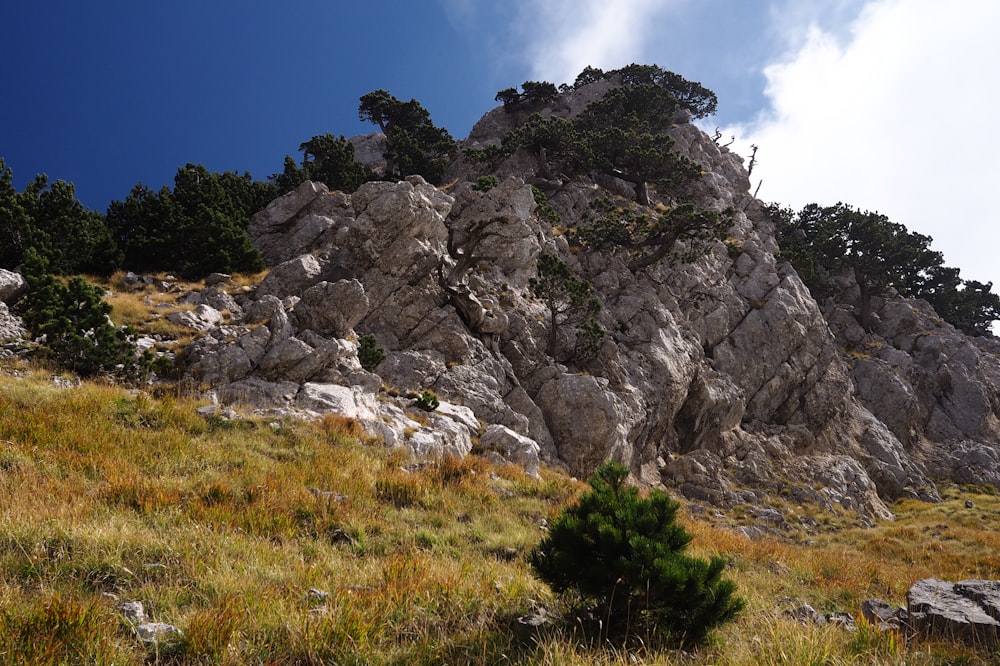 una collina rocciosa con alberi