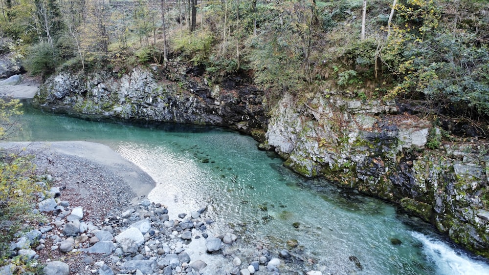 a river with rocks and trees