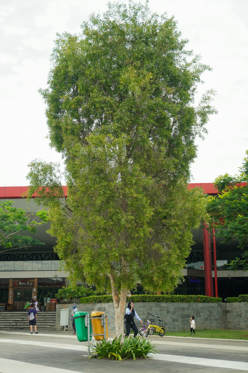 a tree in front of a building