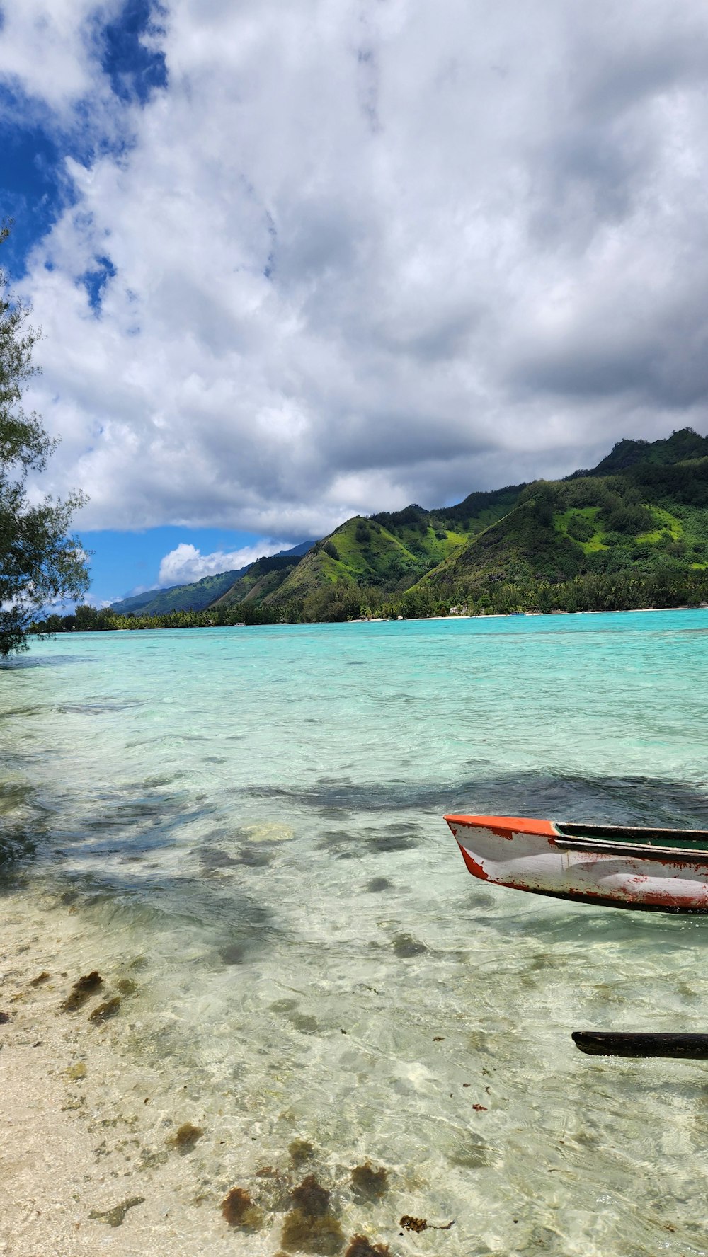 a beach with a boat on it