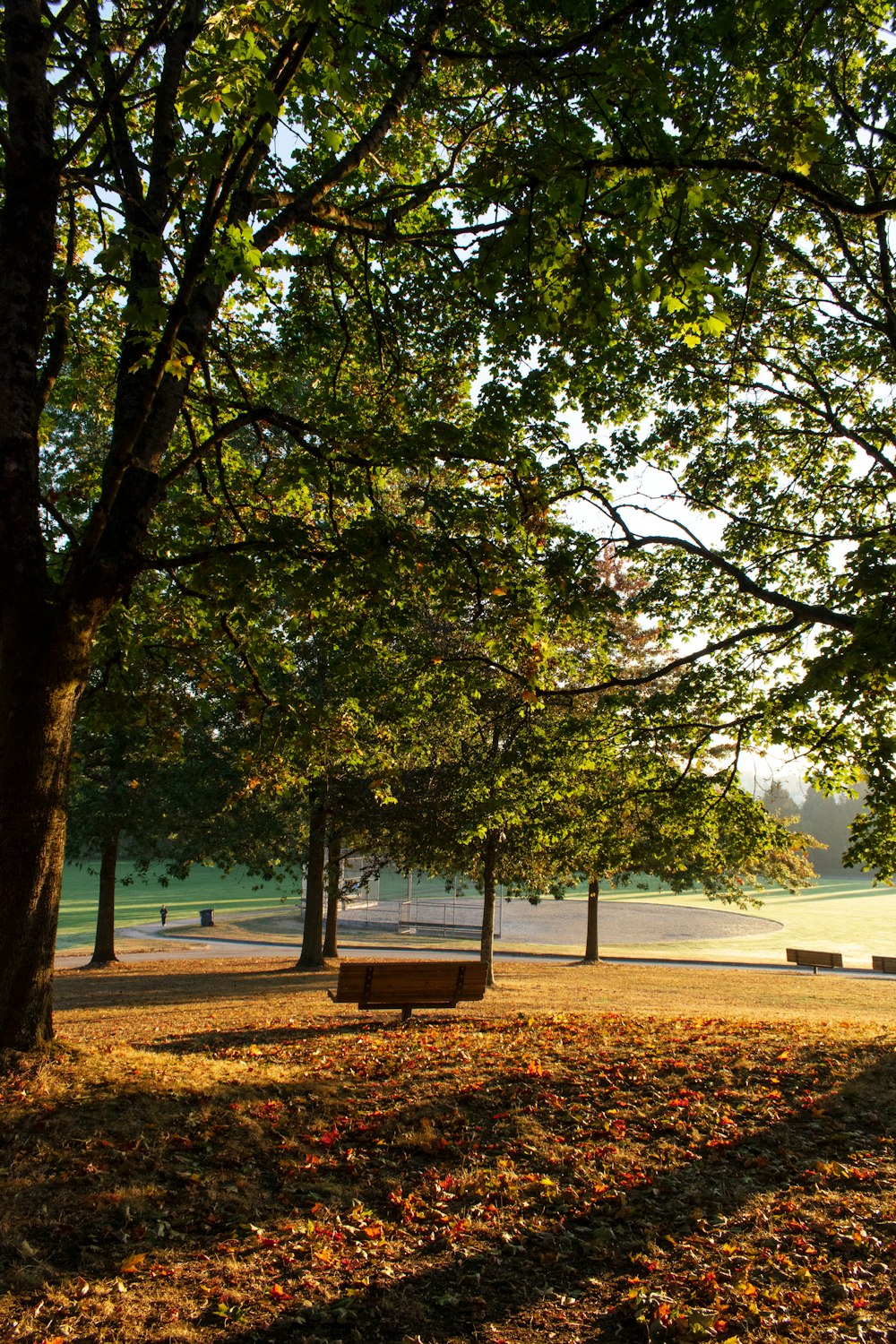 a park with benches