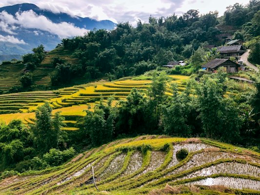 A landscape with trees and a house — Sapa, Vietnam