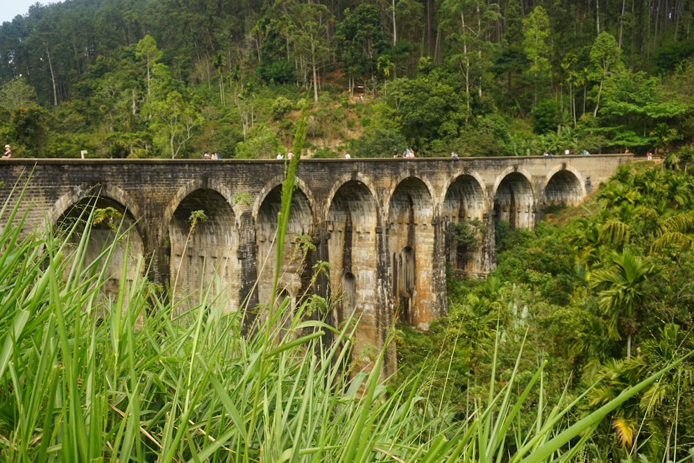 a bridge over a river