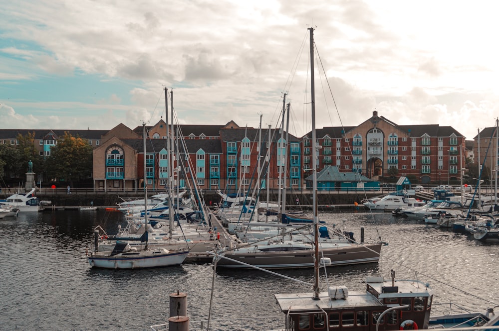 a group of boats sit in a harbor