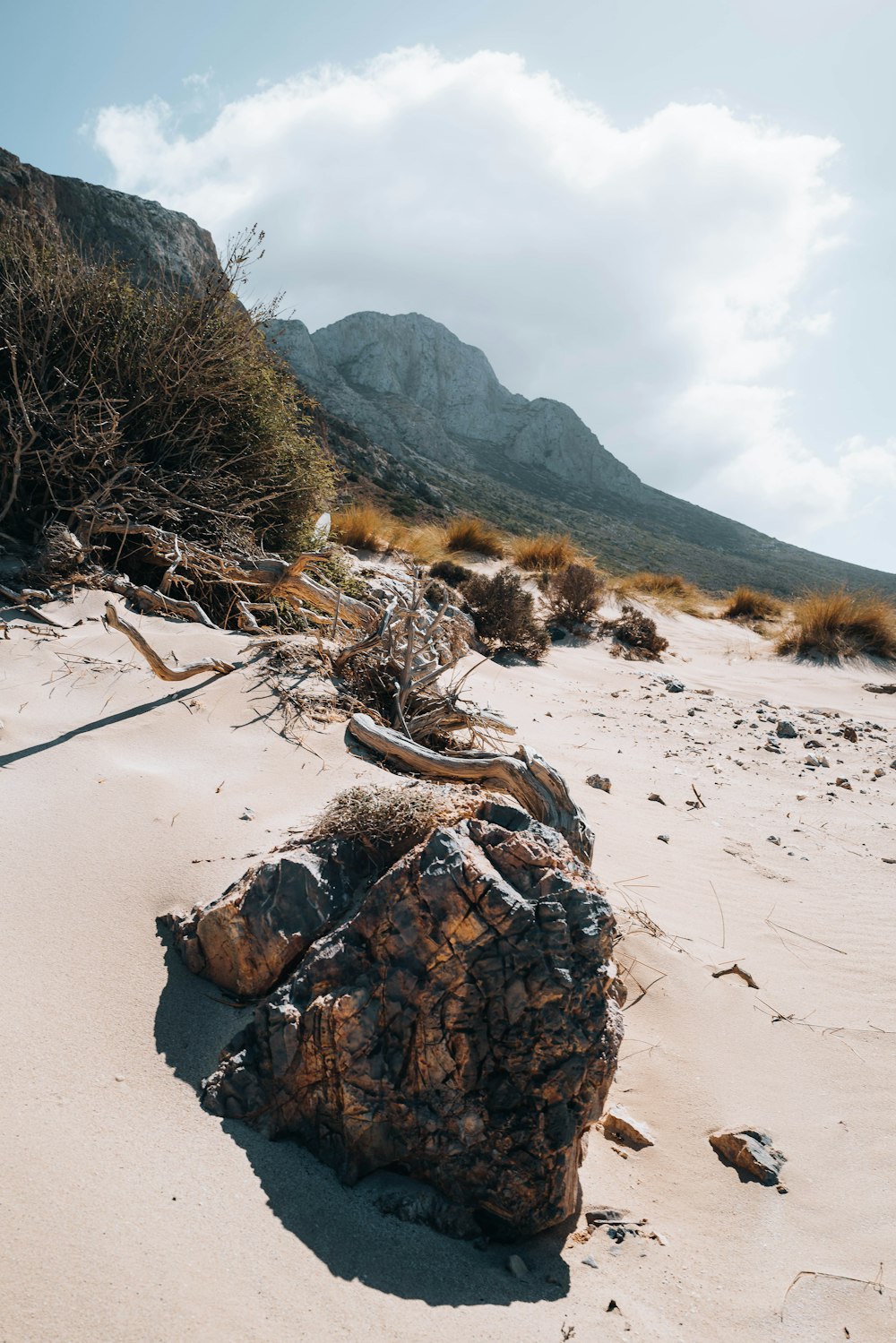 a rock in the sand