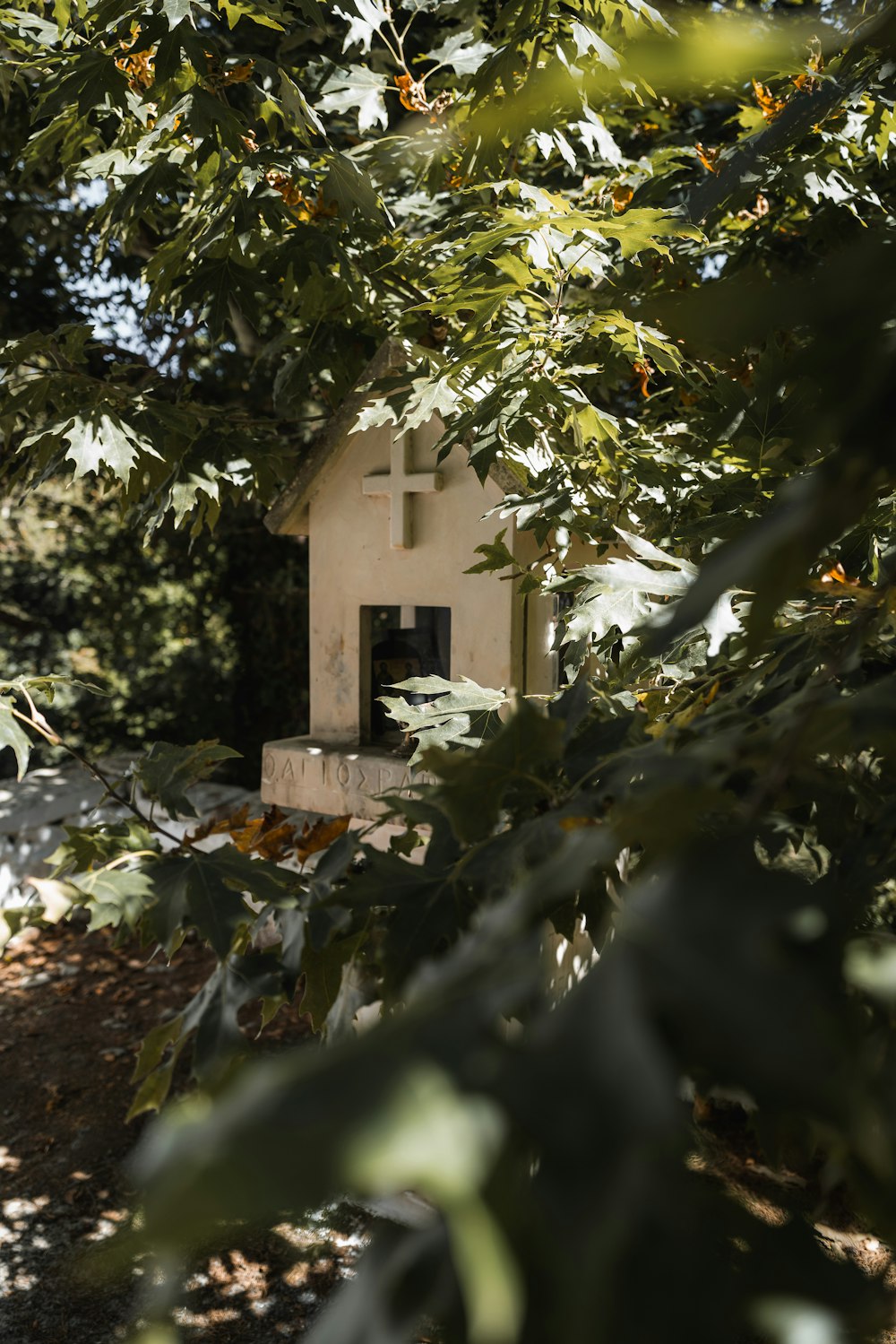 a small white building in the woods