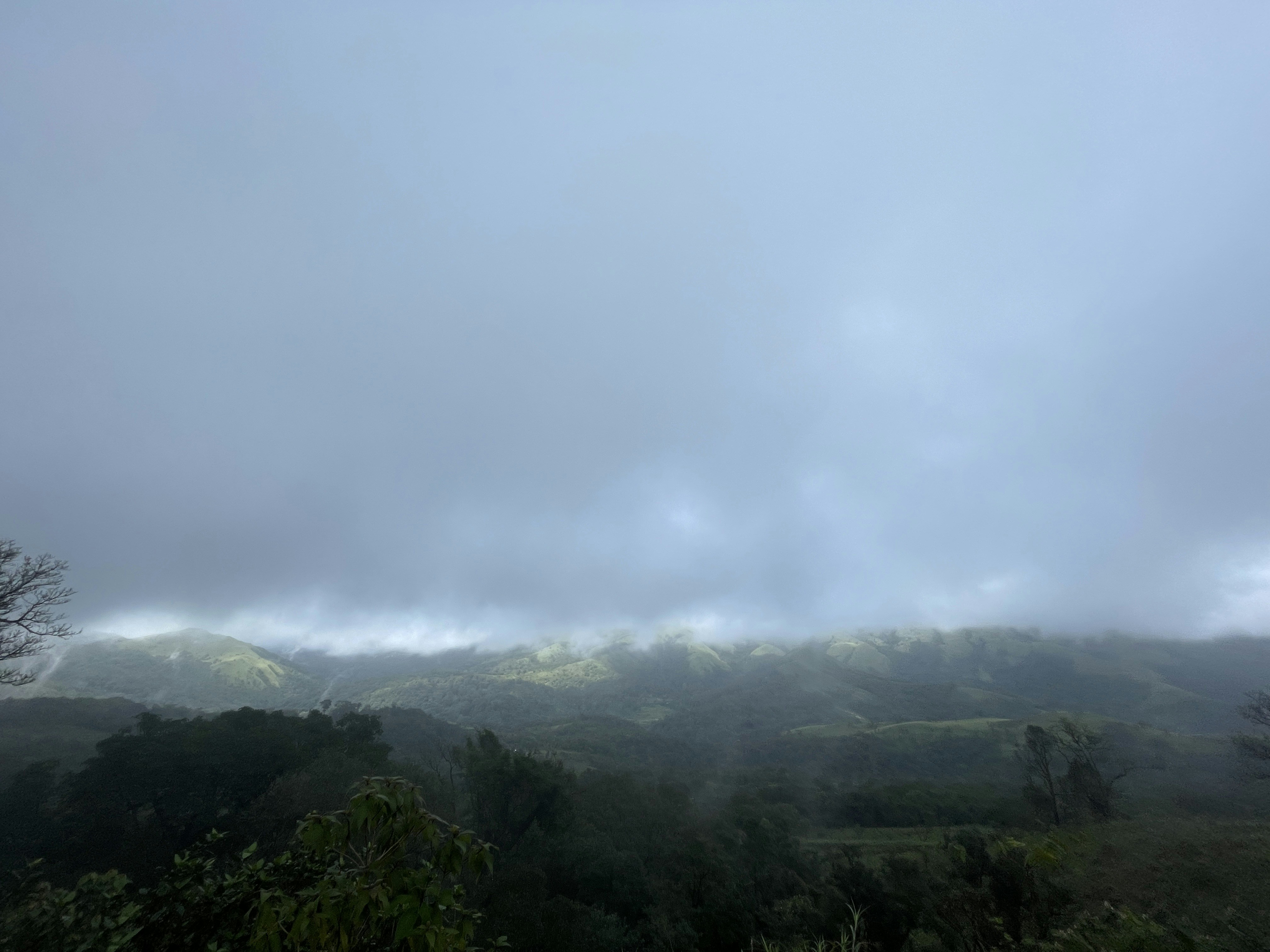 a landscape with trees and mountains in the background