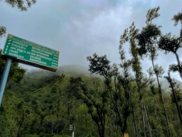 A misty mountain landscape with tall trees scattered across the scene. In the foreground, a directional road sign features both English and regional script, providing distances to various destinations. The sky is overcast, contributing to the overall serene and slightly mysterious atmosphere.