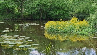 A serene pond surrounded by lush greenery and colorful flowers.