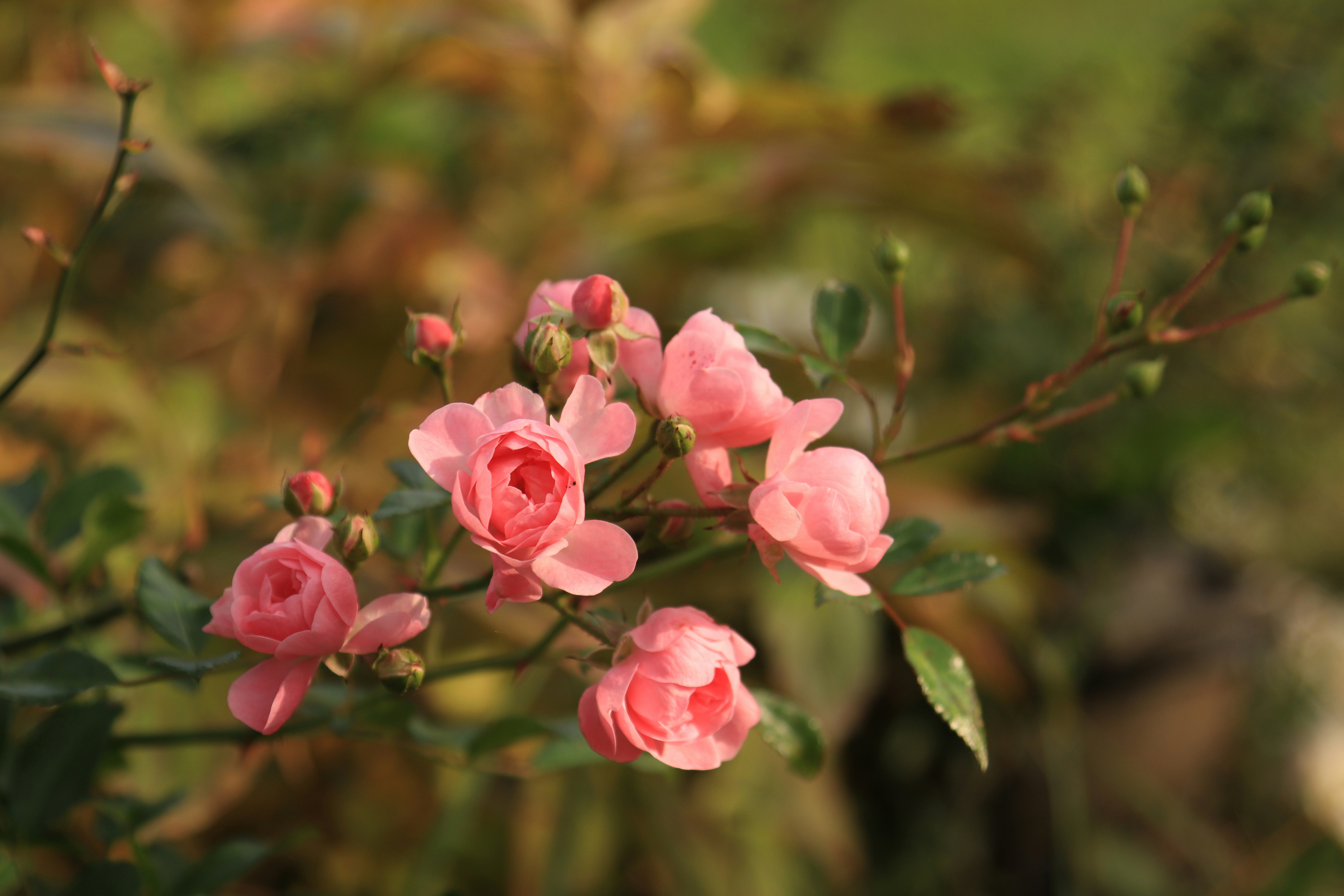 Photo by corinabianca