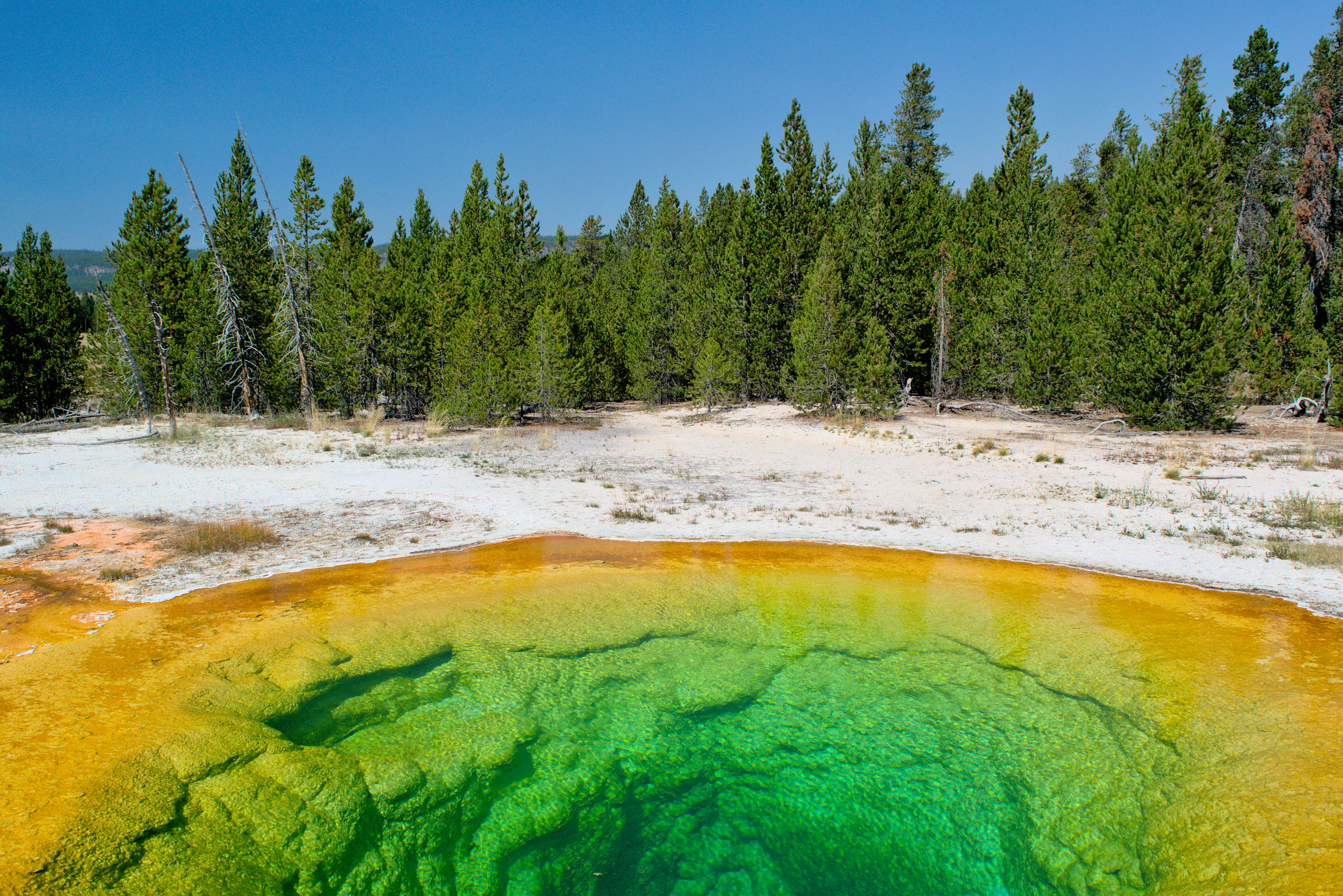 Microbes on Mars? Yellowstone as a Model for Extraterrestrial Life (image credits: unsplash)