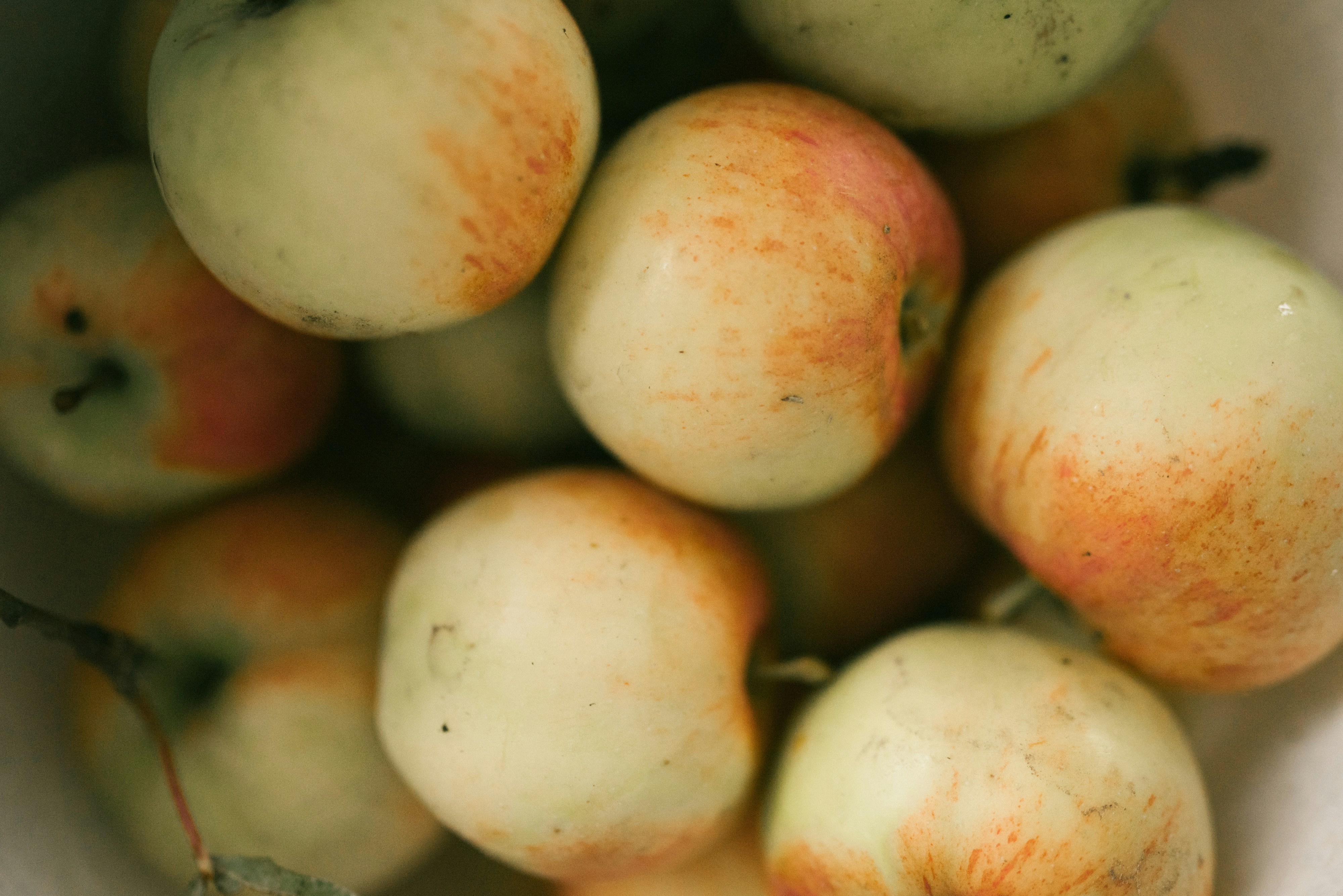 Photo by korobovaphoto