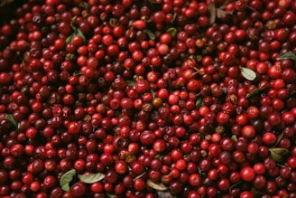 a pile of red berries