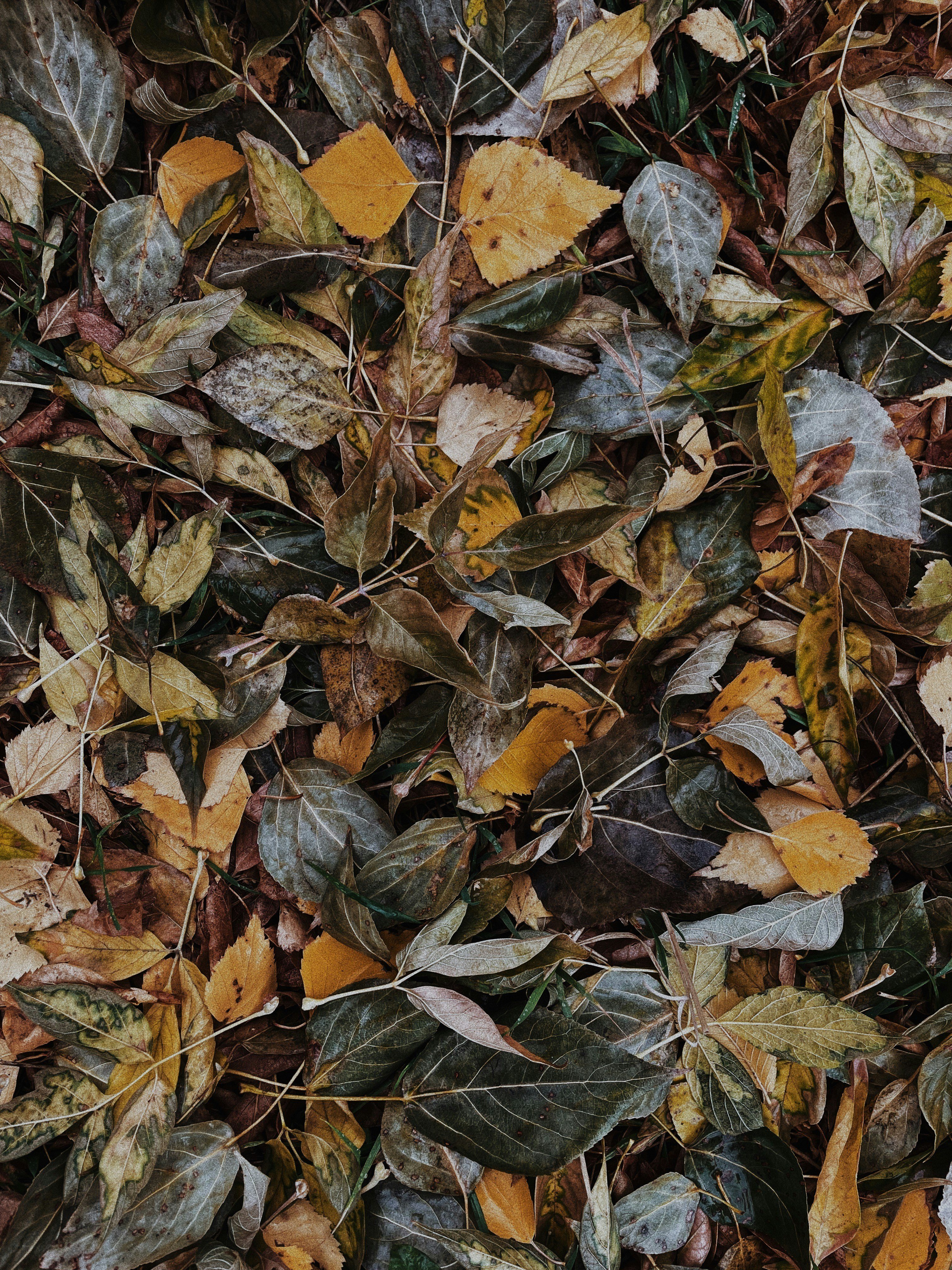 Photo by kseniachikurova