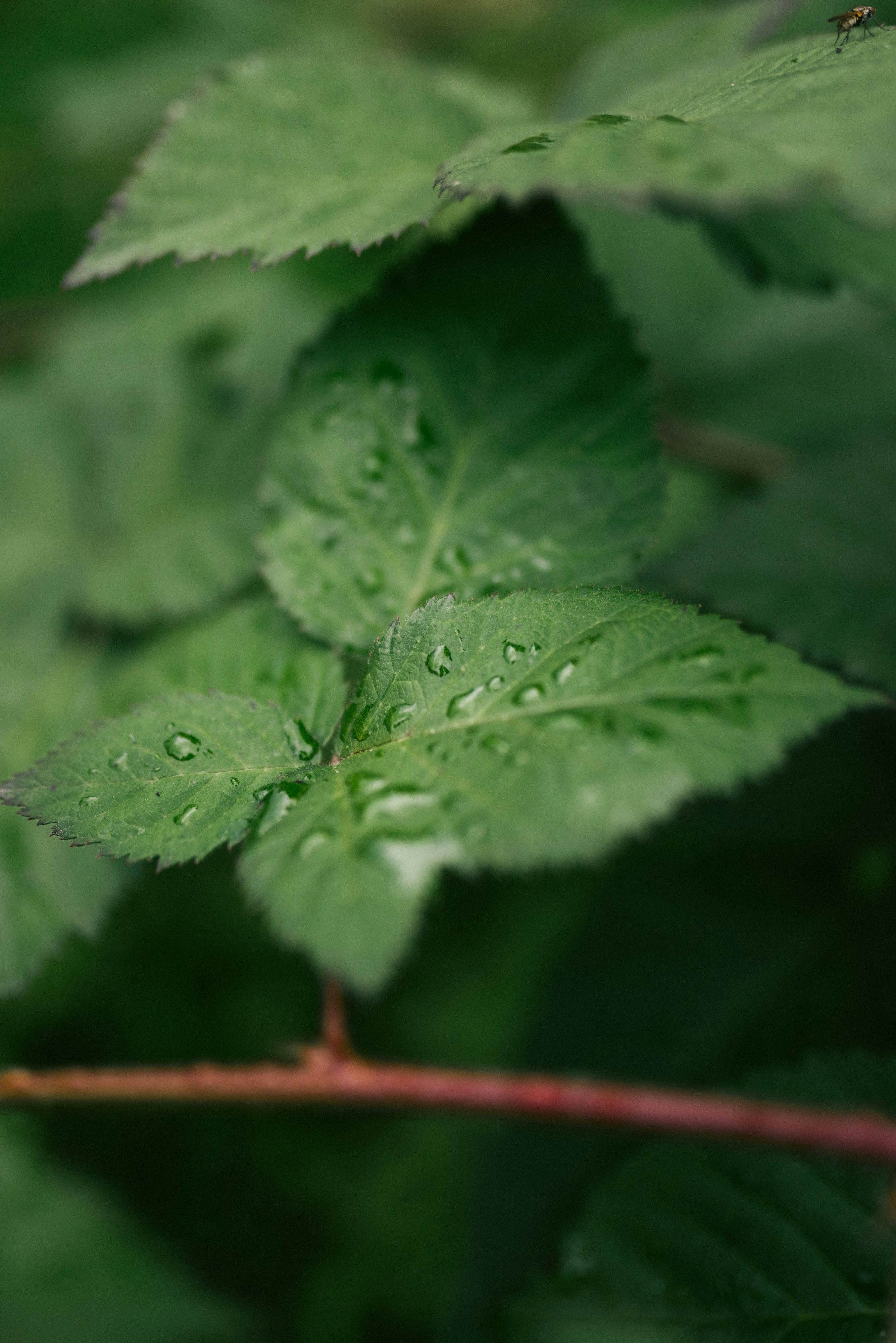 Photo by korobovaphoto