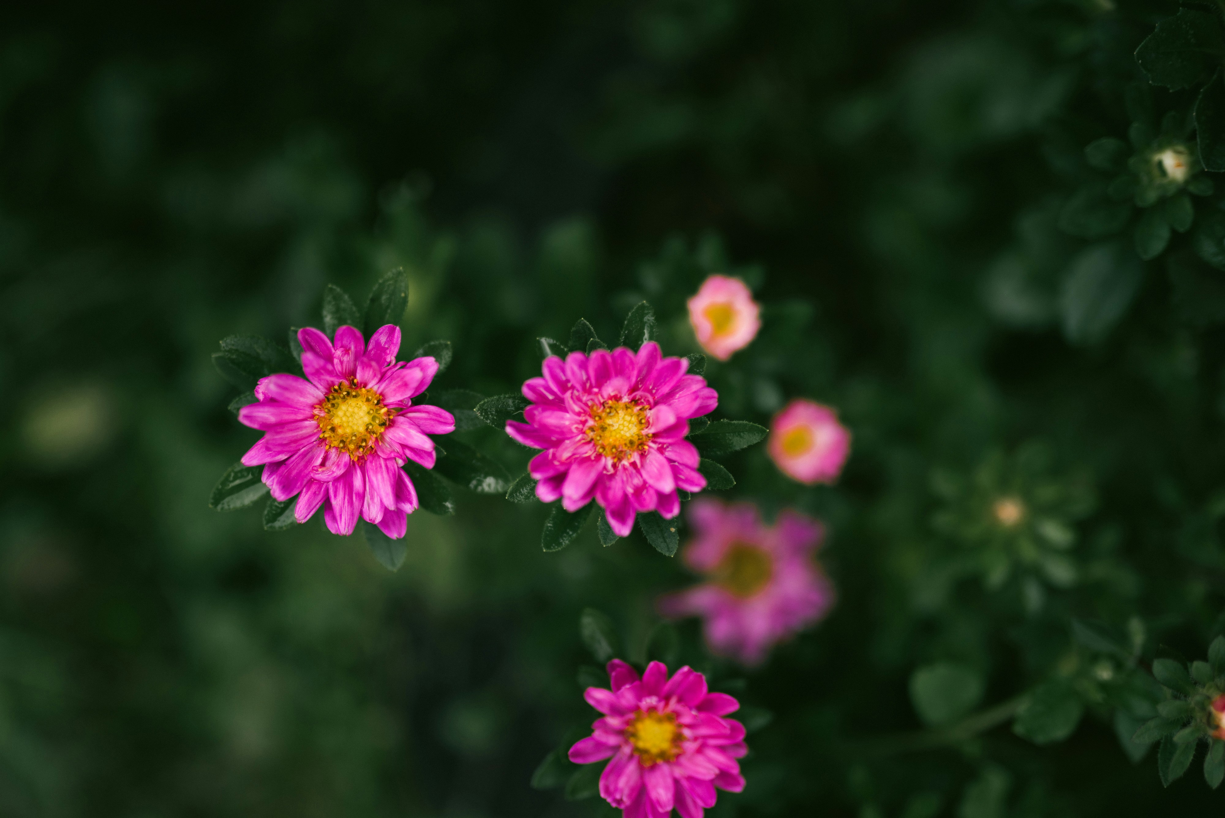 Photo by korobovaphoto