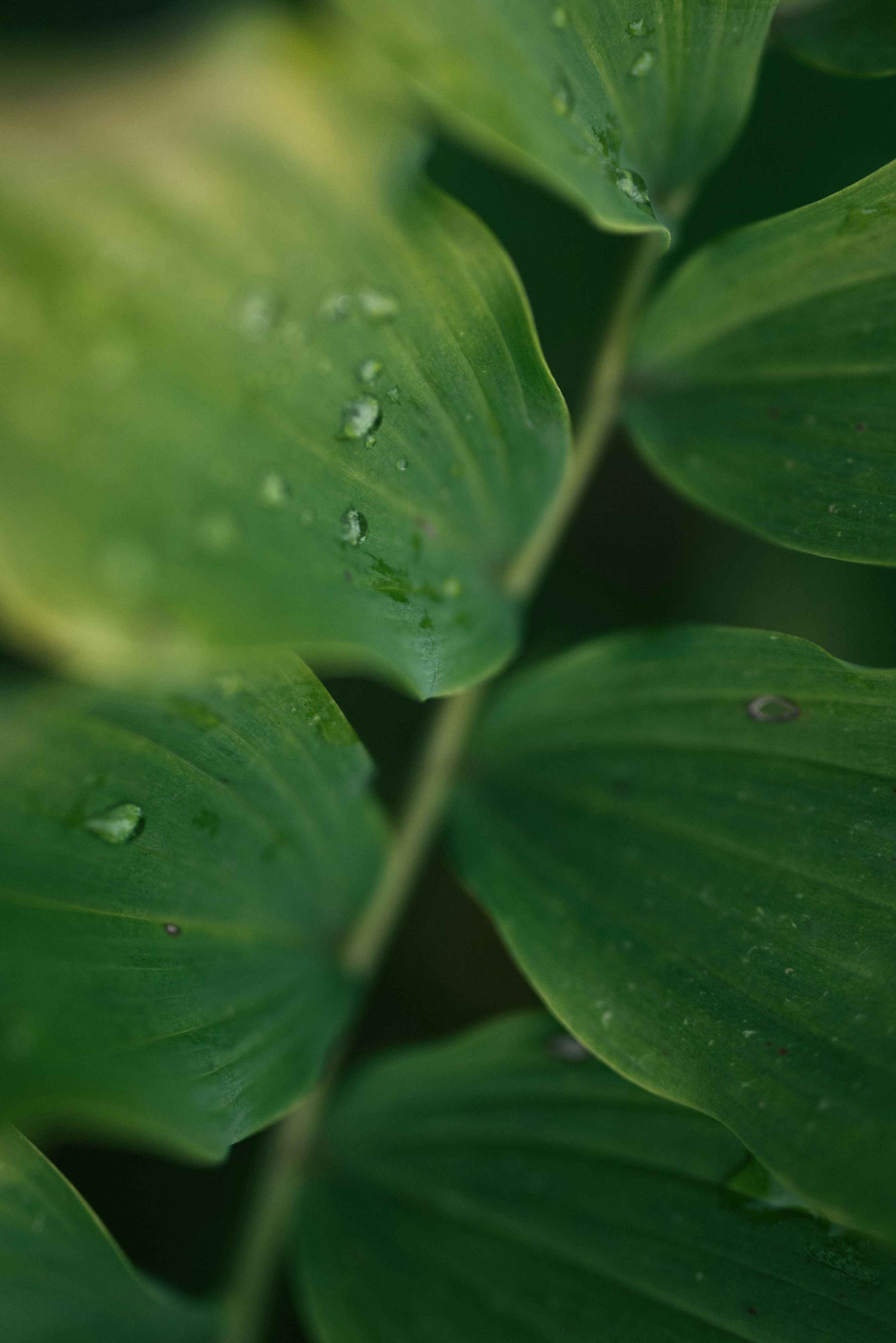 Photo by korobovaphoto