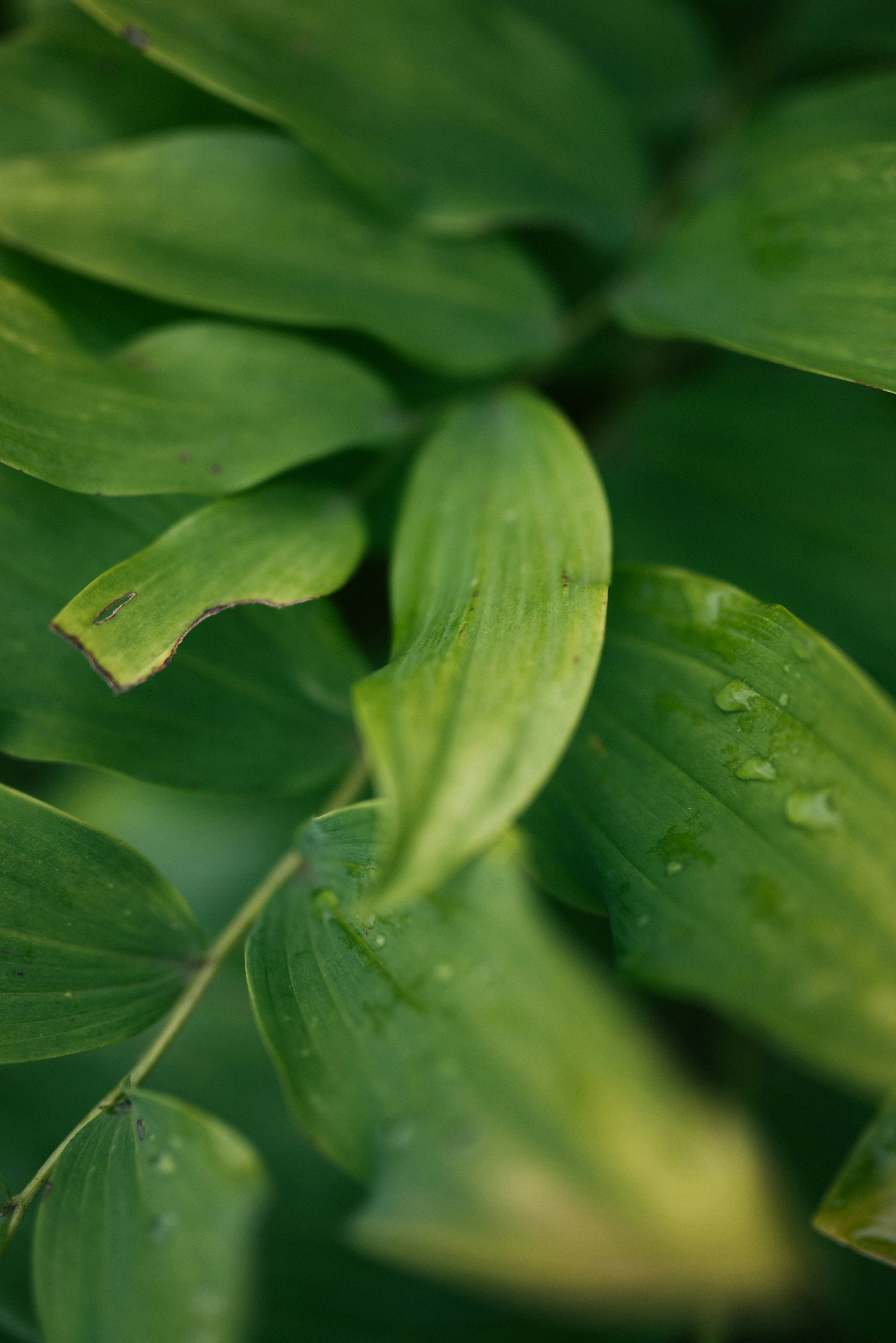 Photo by korobovaphoto