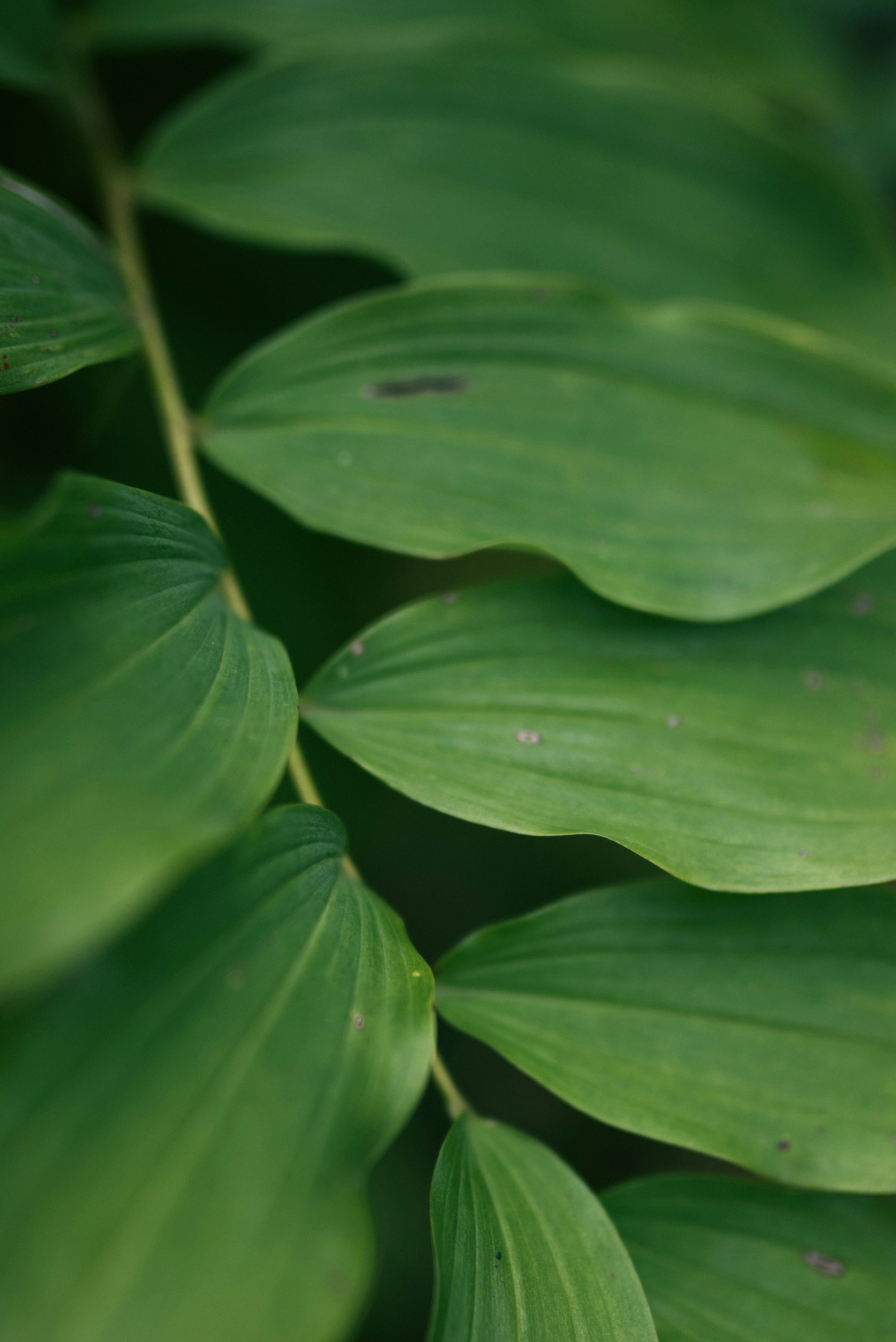 Photo by korobovaphoto