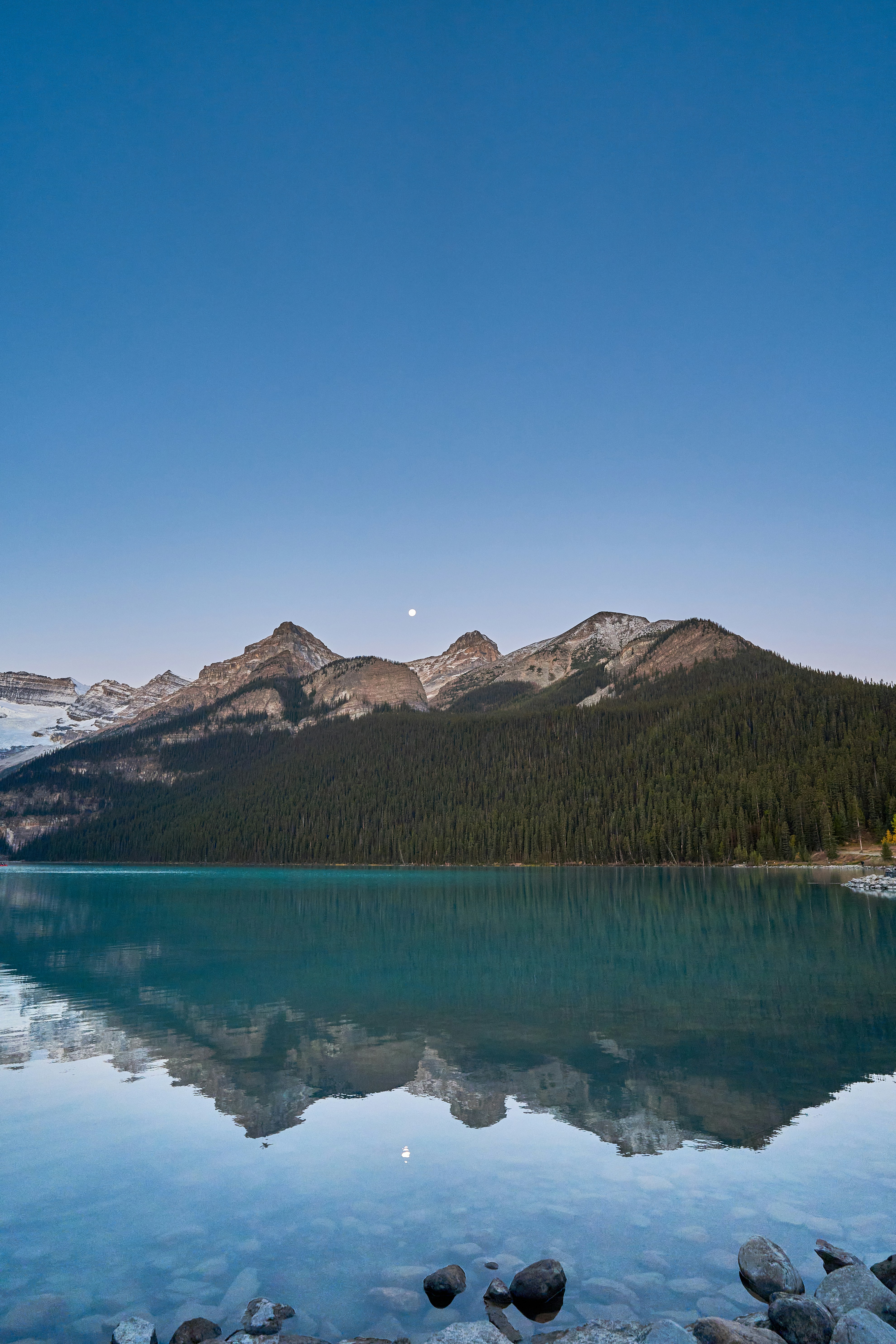 Photo by suicide_chewbacca