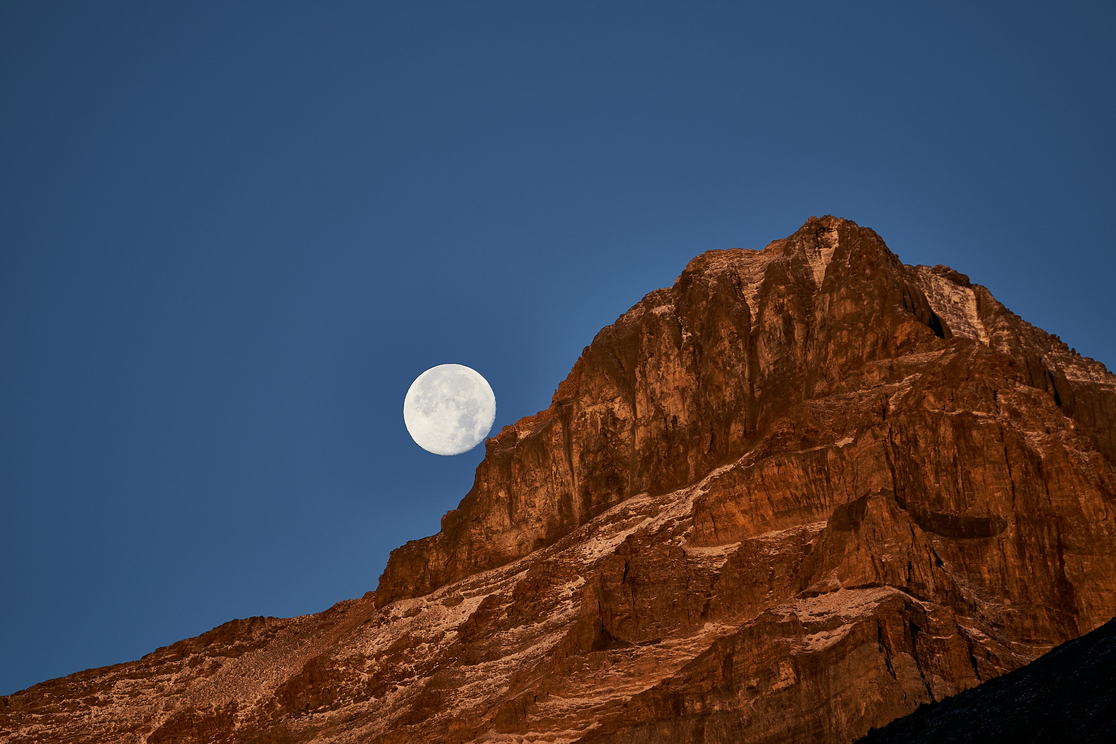 Photo by suicide_chewbacca